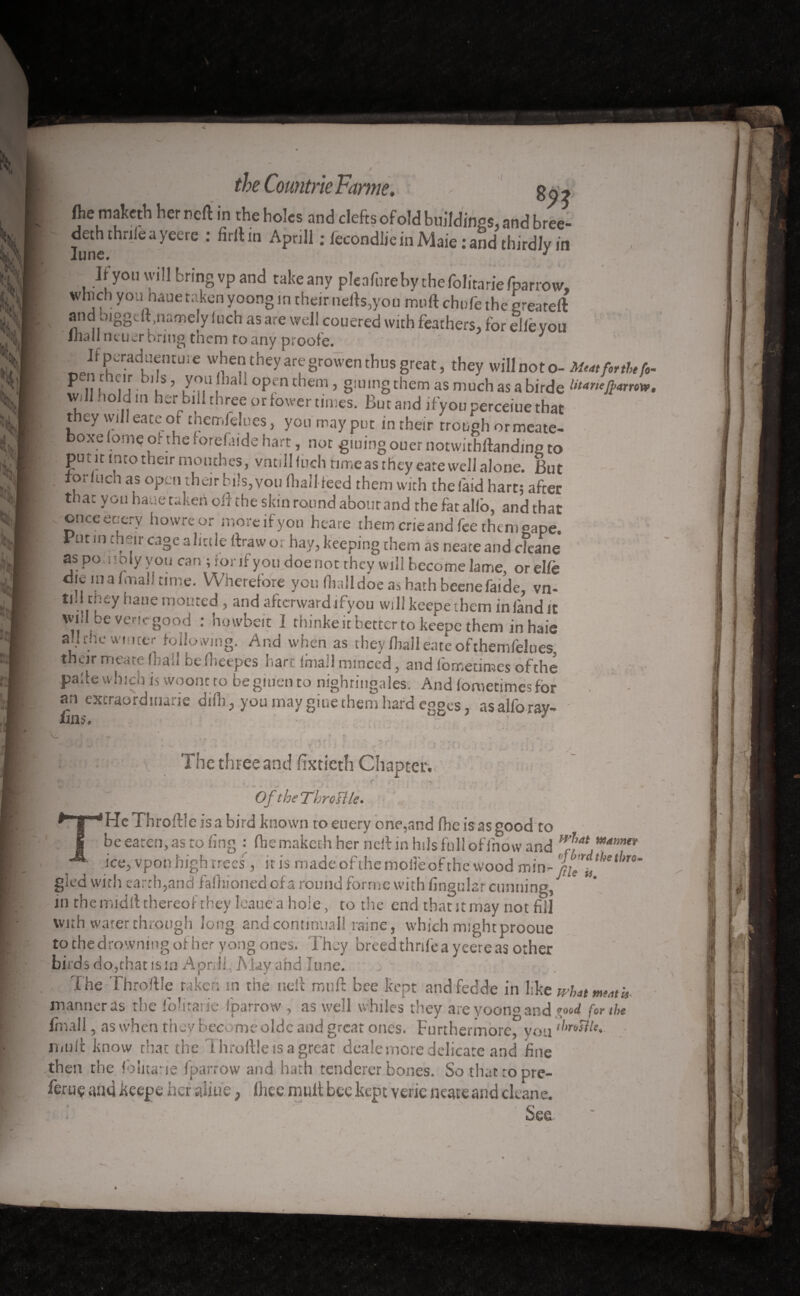 89? « If'/11. p « . and clefts ofold buildings, and bree- wth e a yeere *’ fir 110 Apn 1 : fecondlie in Maie : and thirdly in Jjyou will bring vp and take any pleafurebythefolitariefparrow, which you hauetaken yoong in their nefts,you muft chufe the greateft and oigg.lt .namely inch as are well couered with feathers, for elle von ihall neuer bring them to any proofe. 1 ^ Ifperaduemure when they are grovven thus great, they will not o- Muttforth, > P ,?.r VI. ),s? 7.?fU, a iCPint gmmgthemasniuchasabirde titaneft>4rront W;ll hold in her bill three or fower times. Bucand ifyou perceiue that they will eate or tnemfdues, you may put in their trough or meate- boxe lome of the lorefaide hart, not gluing oner notwithftanding to put it into their mouches, vntill Inch rime as they eare well alone. But xorluch as open their bils, vou (hail teed them with the laid hart; after that you haue taken oft the skin round about and the fat alio, and that once entry howreor more if you heare them crie and fee them gape, ut in u .a cage a little ft raw o. hay, keeping them as neateand cleane aspo Holy you can ; for if you doenot they will become lame, orelfè oie in a I,mat! time. Wherefore you fiialldoeashathbeenefaide, vn- tul they haue mouted, and afterward ifyou will keepethem in land it will be verte good : hmvbeit I rhinke it better to keepethem in haie a.i the winter following. And when as they fliall eate ofthemfelues their meate (hall beftieepes hart ImaJ! minced, and lometimes ofthe paftewhich is wooncto begiuen to nightingales. And lometimes for . - an excraordmarie difli, you may giue them hard epees as alforav- ims. , v The three and fiftieth Chapter. ' Ofthe Tlrcïl le. 'He Throftle is a bird known toeuery one,and fhe is as good to be eaten, as to iing : fhe maketh her neft in hils full of (how and HrJat, ice, vpon high trees', iris made ofthe molleof the wood min- Jd^thethnm gied with earth,and falliioned ofa round forme with lingular cunning, in themidft thereof they Ieaue a hole, to the end that it may not fill with water through long andcontinuall raine, which mightprooue tochedrowningofher yong ones. They breed thrife a yeere as other birds do,chat is in Apr,if May and June. The Throftle taken in the neft muft bee kept andfedde in like mW mmb manner as the loUtarie (narrow , as well whiles they are yoon° and for il>e fmall , as when tli ev become olde and great ones. Furthermore, you niuft know chat the Throftle is a great deale more delicate and fine then the folnane Iparrow and hath tenderer bones. Sothatropre- feruç and keeps her aiiue, Ihee muft bee kept verie neateand cleane. See