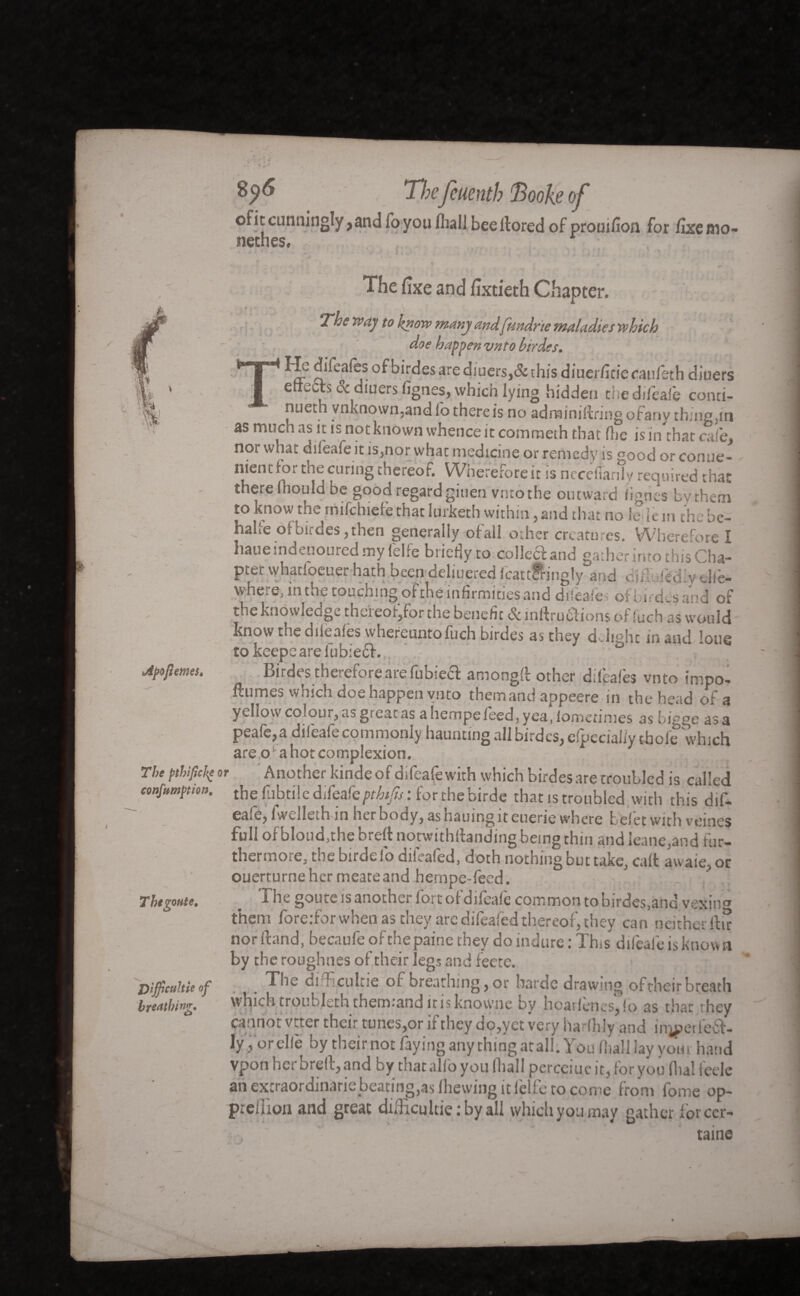 Apft ernes. The pthiflckg confumption. Thtgoute, J)ijficultie of breathing» 8p6 The fcuenth Booke of of it cunningly ,and fo you lhail beellored of promfîon for iixemo- nethes. The fixe and fortieth Chapter. The way to know many andfundr'te maladies which doe happen vnto loir des, of birdes are diuers,&this diuerficie caufeth diuers e udts cx diuers fignes, which lying hidden the difeaie conti- nueth vnknown,and lb there is no adrainiflring ofany thing jin as much as it is not known whence it comrneth that flic is in that cafe, nor what aiieafe it is,nor whac medicine or remedy is °ood or conue- nientlor the curing thereof. Wherefore it is necefianly required that there mould be good regard giuen vnto the outward lignes by them to know the rnifchiefe that lurketh within, and that no le*le in the be- haife ofbirdeSjthen generally ofall other creatures. Wherefore I haue mdeuoured my felfe briefly to colled:and gather into this Cha¬ pter vyhatfoeuer hath been deliuered lcattfrjngly and cuT Iccfy « iiê- where, in the touching of the infirmities and difeafes of birdes and of the knowledge the'reotjfor the benefit & mftru&ions of luch as would know the difeafes whereuntofuch birdes as they d elight in and loue to keepc are lubied. u Birdes therefore are fubied amongfb other difeafes vnto impo- fhimes which doe happen vnto them and appeere in the head of a yellow colour, as great as a hempe feed, yea, fomerimes as bigge as a peafe,a difeafe commonly haunting all birdes, efpecialfy tbofe which are o a hot complexion. Another kindeof difeafewith which birdes are troubled is called the fubtile difeafepthifts: for the birde that is troubled with this dif- ea»e, f.ve 11 eili in her body, as naumg it euerie where befet with veines full ofbloud,the breft norwithfbanding being thin and leane,and fur¬ thermore, the birde ib difeafed, doth nothing but take, caft awaie, or ouerturneher meateand hernpe-feed. The gouteisanothei foicof difeafe common to birdes,and vsxni0 them fore.'for when as they are difeafed thereof, they can neither fttr nor (land, becaufe of the paine they do indure : Th.s difeafe is know n by the roughnes of their legs and feete. _ The difocultie of breathing, or harde drawing ofrheir breath whichtroubleththem.andinsknowne by licarfencs,fo as that ihey cannot vtter their tunes,or if they do,yet very hardily and irçper fe&- ly , or elfe by theirnotfay ing anything at all. You fhail lay yom hand vpon lici orefb,and by that alio you lhall perceiue it, for you dial teele an extraordinane beating,as Ihewing it lelie to come from lome op- prefiioji and great diificultie : by all which you may gather for cer- ' . taine
