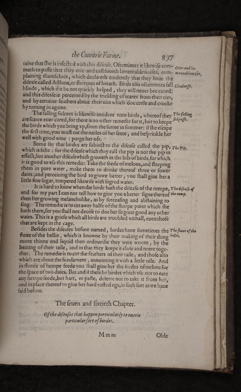 ?,)7 taine that (Tie is mfcffcd with this di/eafe. Oftentimes it likewife com- r • », methtopaOe that they crie. and cart fourth larnentablenoïïes, com- JZ7u%, plaining themfdueSj which dcclarech cuidendy that they haue the difeale called Aithrna,or fiiortnes of breath. Birds alio oftentimes fall Elindneife blinde , which lfit be not quickly helped , they will neuer bee cured: J * and this difeale is perceiued by the trickling efteares from their eics, and by certaine feathers about their eics which doe curie and crooke by turning in agame. The falling rteknes is likewiie incident vnto birds, whereof they ^>e are fcarce euer cured,for there is no other remedie for it, but to keepe the birde which you bring vp,from the funne in fommer: if ihe efcape the farft time,you mull cut the nailes of her feete, and bdprinkleher well with good wine : purge her o/r. ^ . ^ thatbirdes are fubie<&to the difeafe called the pip, Tluv/* which is falle : for the difeafe which they call the pip is not the pipm effect,but another difeafewhich groweth in the bils ofbirds.for which ir is good to vfe this remedie: Take the feede ofmelons,and lleeping them in pure water, make them to drinke thereof three or fower daies,andperceiuingthe bird togrowe better, vou flialleiue hera little finefugar, tempered likewife with fugred water. 8 It is hard to know when the birde hath the difeale of the rumpe, The difeafe ef and for my part I can not tellhowtogiue you a better ligne thereof tberump. then her growing melancholikc, as by liirceafing and abllainingto ling. The remedie is to cutaway halfe ofthe fharpe point which fhe hath there,for you fhall not deuife to doe her Co great good any other waies. This is a griefe which all birds are troubled withall.euenthofe ~ that are kept in the cage. Befidesthedifeafes before named, birdeshaue fometimes theTbefluxtefthe fluxe ofthe bellie, which is knowne by their making of their dun° more thinne and liquid then ordinarilie they were woont, by the beating of their taile, and in that they keepe it dole and neere toge¬ ther. The remedie is to cut the feathers of their taile, and thofe alio which are about thefundament, annoincing itwith a little oile. And infleede ofhempe feede you lhallgiueher thefeedes ofmelonsfor the fpace of two daies. But and if thele be birdes which vfe nor to eate any hempe feede,but hart, or parte, deferre nor to take it from her, and in place thereof to giue her hard rofted egs,in fuch fort as we haue laid before. 1 * » . 4. The leuen and fixtieth Chapter. j . Of the difeafes that happen particularly to euerie particularfort of birder.