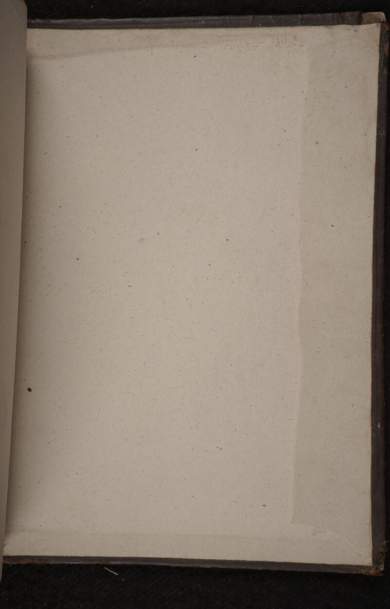 . ' . • J V . \ <4 ■ -n I ■ J - . « » »  t, - y ■ ' t J  , 9 .. * '' T - / -  ' ' ^ « . S • > X ’ ' ' - ' •. , ' ■ ^ ' ■ * . J * E « - ' .> i •• ■ . / ^ t * . / ; • ' N f ■ - i , . > ■ . . v/ ■* * * - . : . •- K'- % \ ■ o V \ •> . . « . K ' ». _ ^ / • ^ p — I ‘ . ' ~ ' J N. ' % Kk h ÊÊÊ! i ’ ; 4 v - _ j « v , r r ' > «■? i « . -f . -, - * — \. -, ?  . * -■ • , ■ / _ s ft. ' • m. E ;■’I- wS ; ■ » ’ ' . • • - . x v* K.1 f.- • ^ -r ■ •. J'y „ - . • - - ' ‘ -* * - f • * T •% . « , - ». . » ' ^ l 'i • 1