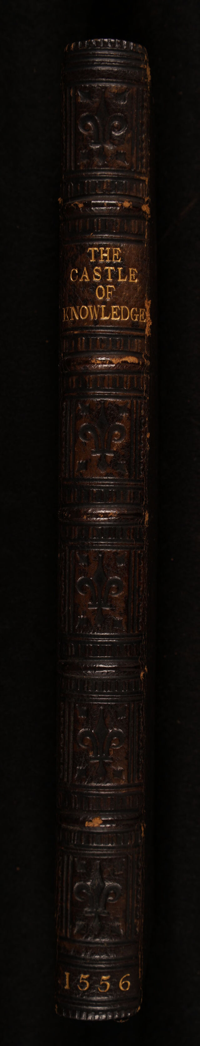 No text description is available for this image