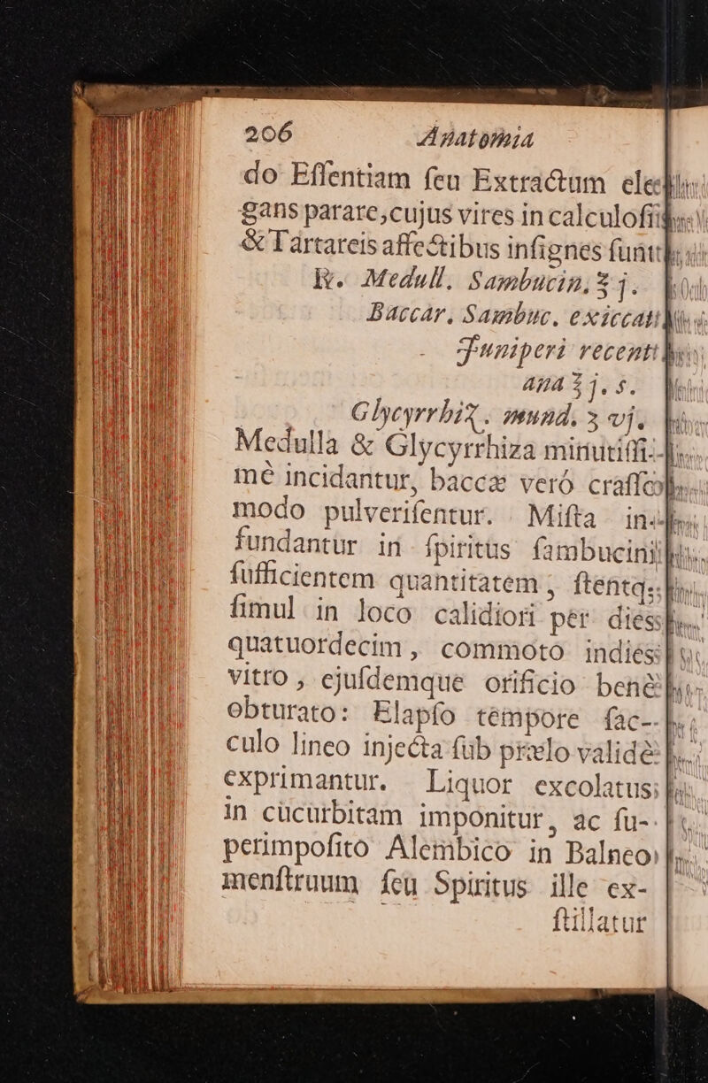 do Effentiam feu Extra&amp;um elei. Sans parare;cujus vires in calculofiifs: &amp; Tártatreis affectibus infignes funt: E. Medull, Sambutin, S3. los Baccar, Sambuc. exiccatil s. Juniperi recenti by: AJA 1]. $. GhyeyrrbiX | oennd, 3 vi. bh Medulla &amp; Glycyrrhiza minutifi:.|. mé incidantur, bacca veró craffcols.. modo pulverifentur. . Mifta | in]. fundantur in. fpiritus fambuciniilu:. fufficientem. quantitatem ftentq: la. fimul. in loco calidiori per. dies... quatuordecim , commoto indies]: vitto , ejufdemque orificio bene. obturato: Elapfo tempore fac-.P culo lineo injecta füb pelo validé cxprimantur. Liquor excolatus;| In cücürbitam imponitur , ac fu-. |. permpofito Alembico in Balneo»],.. menftruum feu Spiritus ille ex- |: Ss ftllatut