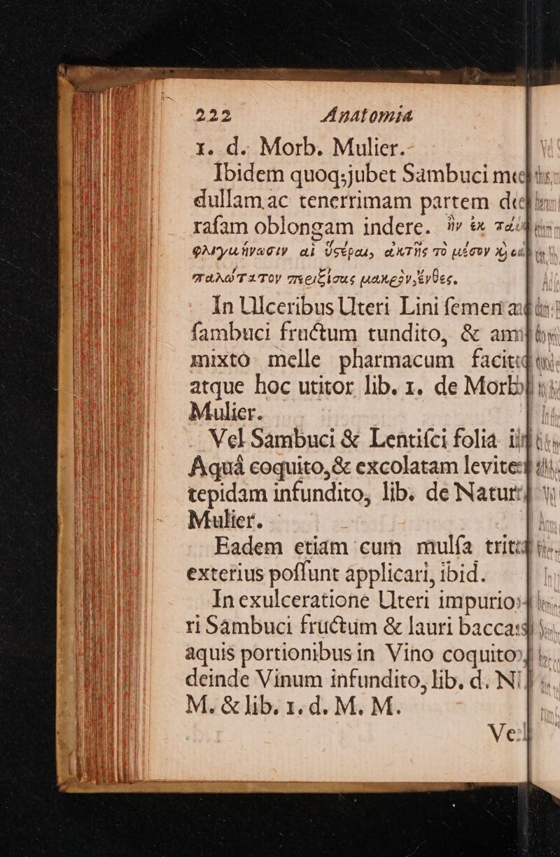 TAAOT3TOV 7rseic laus uae eyes. In Lllceribus Uteri Lini femen a: fambuci fructum tundito, &amp; am mixto melle pharmacum facit: atque hoc utitor lib. 1. de Morbyl uj Mulier. Aquá coquito,&amp; excolatam levite:d i tepidam infundito, lib. de Natur] vi Mulier. | Eadem etiam cum mulía triti exterius poffunt applicari, ibid. In exulceratione Llteri impurio: riSambuci fructum &amp; lauri bacca: aquis portionibusin Vino coquito deinde Vinum infundito, lib. d. Ni] M. &amp; lib. 1. d. M. M. Ve