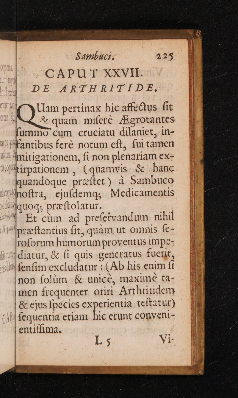 | ; CAPUT XXVII. bid DE ARTHRITIDE. 140^w Ulam pertinax hic affectus fit M &amp; quam miferé ZEgrotantes fummo cum cruciatu dilaniet, in- 'sPÉantibus feré notum eft, fui tamen Mmitigationem, fi non plenariam ex- WlAirpationem , (quamvis. &amp; banc quandoque przíftet) à Sambuco iWinoftra, ejufdemqs Medicamentis d iquoq; pracftolatur. /A1 Br cüm ad prefetvandum nihil !Apraftantius fit, quàm ut omnis fe- Iroforum humorum proventus impe- s diatur, &amp; fi quis generatus fuetit, «lslfenfim excludatur : (Ab his enim fi |non folüm &amp; unicé, maxime ta- |men frequenter oriri Axthritidem | &amp; cjus fpecies experientia teftatur) il fequentia etiam. hic erunt convent- | entiffima. | L5 Vi ———