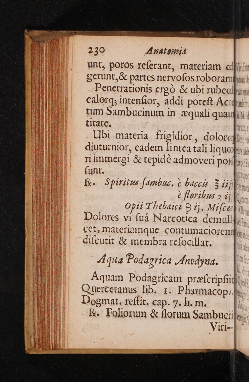 tum Sambucinum in equali quaii | titate.  Ubi materia frigidior, dolorc. rimmtergi &amp; tepidé admoveri poil]: funt. E. Spiritus [ambuc, baccis. 3 iijls, e floribus » ij Opi 1 belaici 3 Zi. Mifced Dolores vi fuá Narcotica demul ' cet; materiamque contumacioremp. difcutit &amp; membra rcfocillat. d qua Podagrica /fnodyua, Dogmat. reffit. cap. 7. h. m. &amp;« Foliorum &amp; florum Sambuciil».. Viri-| |