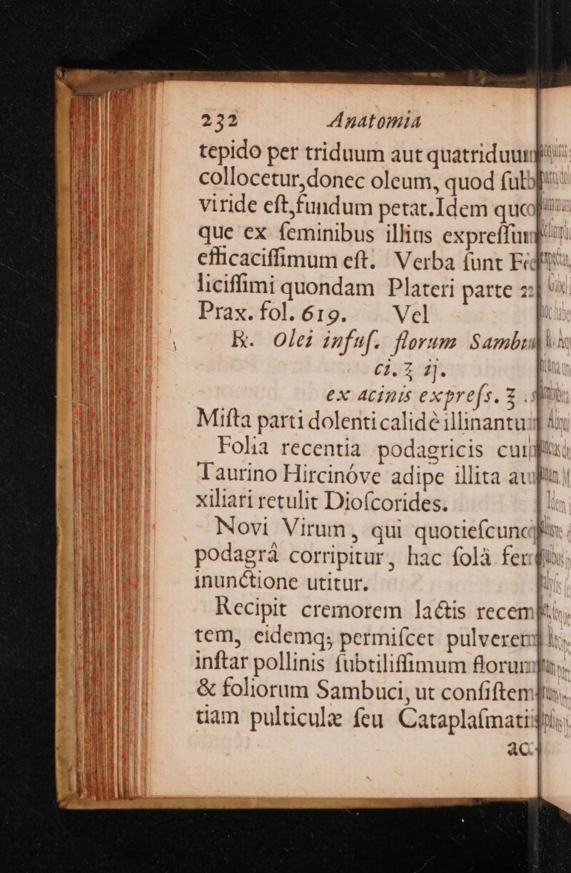 tepido per triduum aut quatriduumg: collocetur, donec oleum, quod fulb]: viride eftfundum petat.Idem quc[/: que ex feminibus illius expreffig ir. efüicaciffimum eft. Verba funt Fit liciffimi quondam Plateri parte z;| Prax.fol.619. . Vcl n E. Olei iufuf. florum Sambu)is Ci. 2 2]. : i ex ACIDIS expre(s, z p Mifta parti dolenti calidé illinantu:] 45 Folia recentia podagricis cui Taurino Hircinóve adipe illita au! xiliari retulit Diofcorides. | Novi Virum, qui quotiefcuncjf podagrà corripitur, hac folà feris inunctione utitur. i Kecipit cremorem la&amp;is recempti, tem, eidemq; permifcet pulvererj] ls. inftar pollinis fubtiliffimum florumpuy, &amp; foliorum Sambuci, ut confiftemfu. uam pulicule feu Cataplafmatiidis c4