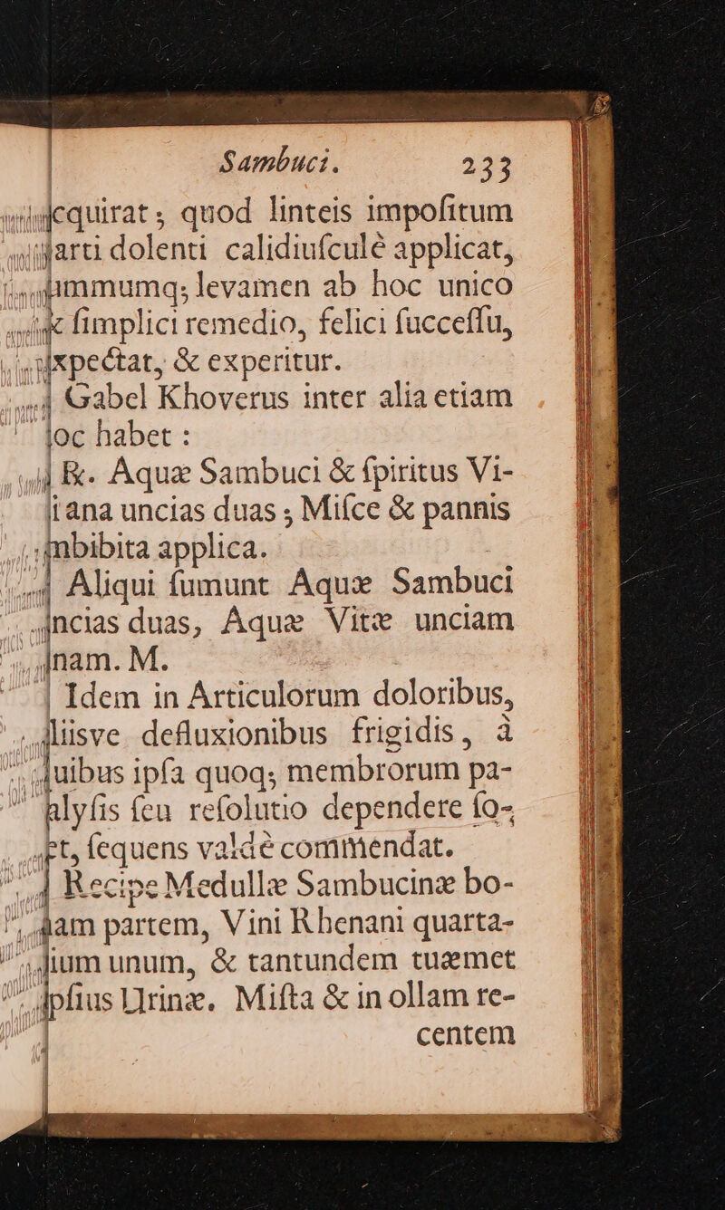 aequirat; quod linteis impofitum arti dolenti calidiufculé applicat, ;immumq; levamen ab hoc unico e fimplici remedio, felici fucceffu, , A xpectat, &amp; experitur. 4 Gabel Khoverus inter alia etiam - Joc habet : ,4] K« Aqua Sambuci &amp; fpiritus Vi- i ana uncias duas ; Mifce &amp; pannis ; fnbibita applica. | 4 Aliqui füumunt Aqux Sambuci ,jncias duas, Aque Vite unciam nam. M. | Idem in Articulorum doloribus, .Aiüsve defluxionibus frigidis, à ;, quibus ipfa quoq; membrorum pa- Blyfis feu refolutio dependere fo- ,Ft, fequens valaé commendat. | Recipe Medullie Sambucinz bo- dam partem, V ini Rhenani quarta- ^«dium unum, &amp; tantundem tuzmet 1 dpfius LIrinz. Mifta &amp; in ollam re- ] centem l