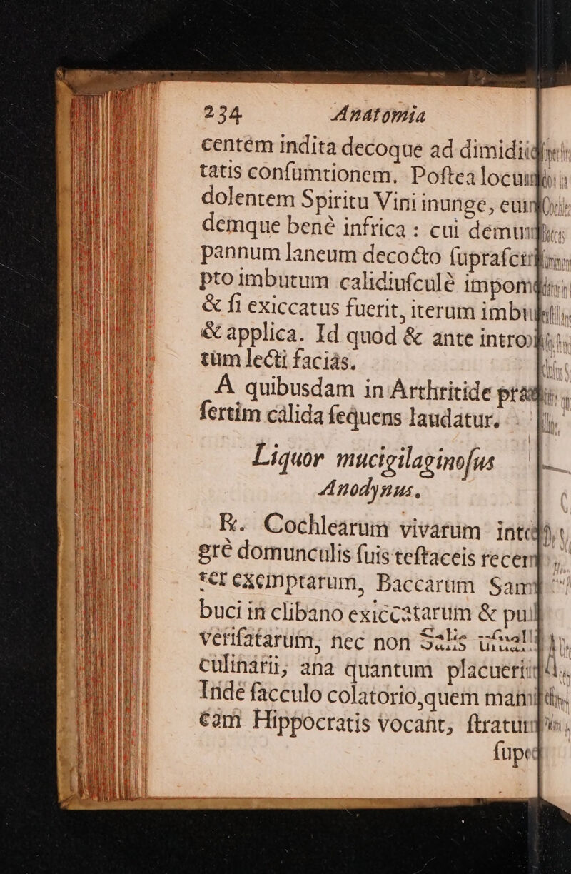 centem indita decoque ad dimidiidjss! tatis confumtionem. Poftea locui: dolentem Spiritu Vini inunge, euim: demque bené infrica : cui demi Du: pannum laneum decocto fuprafctifon: pto imbutum calidiufculé impomqi: &amp; fi exiccatus fuerit, iterum imbubu. &amp; applica. Id quod &amp; ante intro. tüm lecti faciás. j A quibusdam in Arthritide prid, fertim cálida fequens laudatur, . |; E. Cochlearum vivarüm int UT gré domunculis fuis teftaceis recerd . :erexemptarum, Baccarüm Sam! buci in clibano exiccatarum &amp; pul verifatarum, nec non S2Eis utat] h culinári, ana quantum placuert:q Iridé facculo colatorio,quem mami cam Hippocratis vocant, ftraturd fup