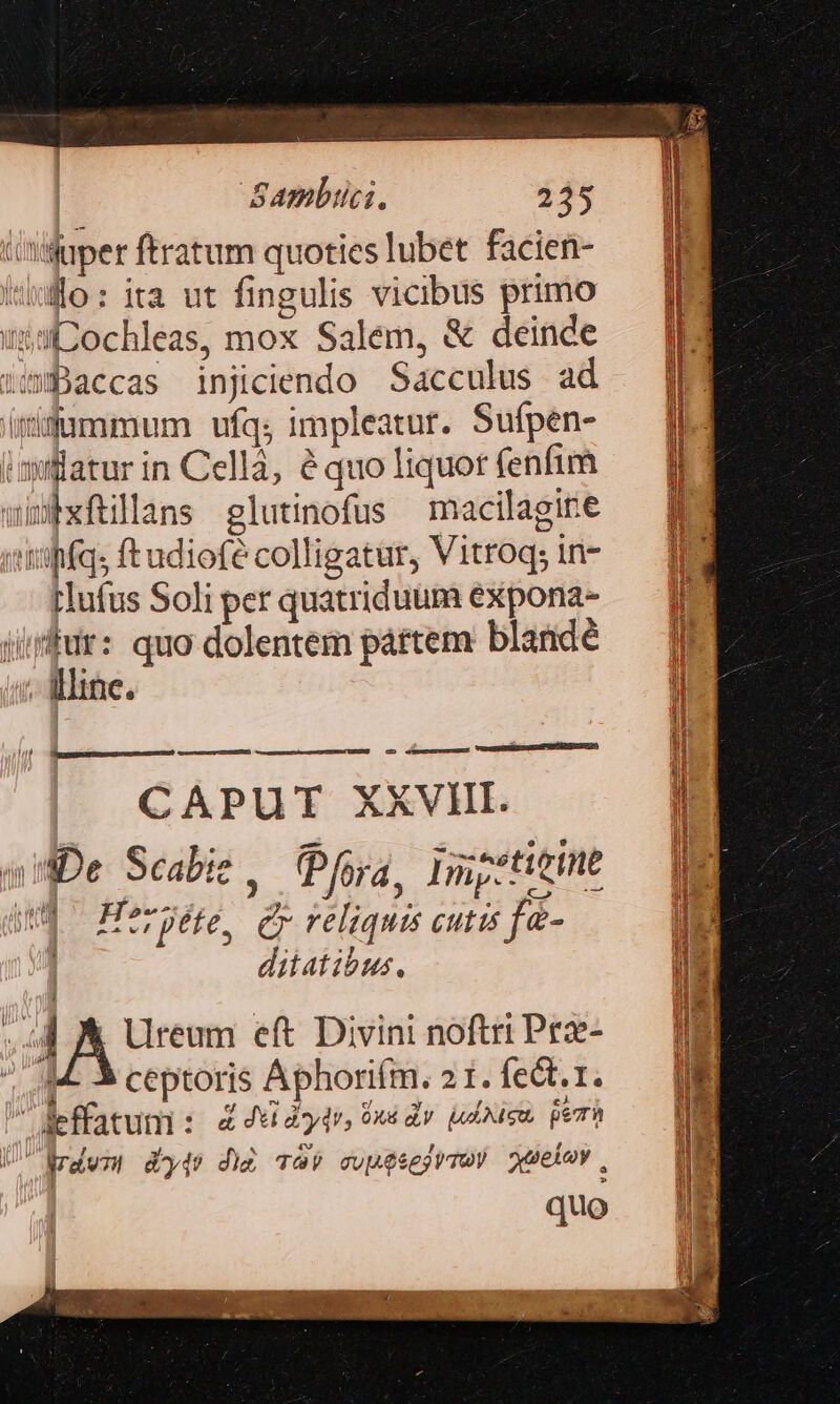 tiviuper ftratum quoties lubet. facien- ito: ita ut fingulis vicibus primo ua Dochleas, mox Salem, &amp; deinde »waccas injiciendo Sacculus ad (ri$ummum ufq; impleatur. Sufpen- j T in Cellà, équo liquor fenfim wibxftillans glutinofus macilagire iitffqs ftudiofe colligatur, Vitroq; in- tlufus Soli per quatriduum expona- ji i5 quo dolentem páttem blandé ; Mine. cm atearumus VUMMSUSÉEDUESNNÉREDNUSO LU ou imd CAPUT XXVIII. wifDe Scabie , (Pfoya, Impztittne wg ^ Heryéte, C reliquis cutis fa- | ditatibus. ; EU eft Divini noftri Pre- P- 3 ceptoris Aphorifm. 21.fect.1. deffatum: 4 4vidodn, Pus dy udoiem. per I rdum dy4s dig Tav cupgsejrmew atelov , quo n i