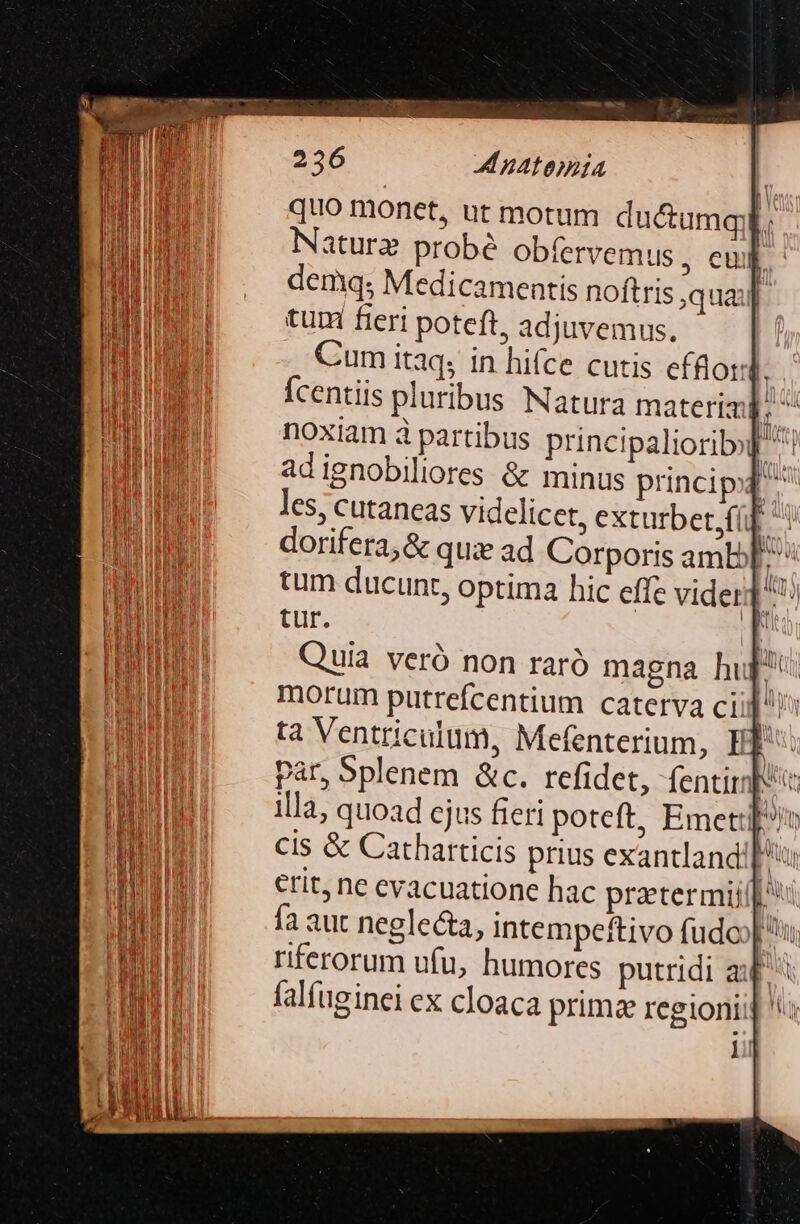 quo monet, ut motum ductumqid. Nature probé obfervemus, eu. demq; Medicamentis noftris qua. tum fieri poteft, adjuvemus. . €umitaq; in hifce cutis efflord. Ícentiis pluribus Natura materimi E. noxiam à partibus principalioribi ^! adignobiliores &amp; minus principi ^ les, cutaneas videlicet, exturbet,(üf | dorifera;&amp; qux ad Corporis amb tum ducunt, optima hic effe vider E tur. N Quia veró non raró magna hup morum putrefcentium caterva ci: ML ta Ventriculum, Mefenterium, E] par, Splenem &amp;c. refidet, fentirmps illa, quoad ejus fieri poteft, Emetip/ cis &amp; Catharticis prius exantlandif erit, ne evacuatione hac praetermiji fa aut neglecta, intempeftivo fudoo] i. riferorum ufu, humores putridi a^ falfuginei ex cloaca primz regioni; il