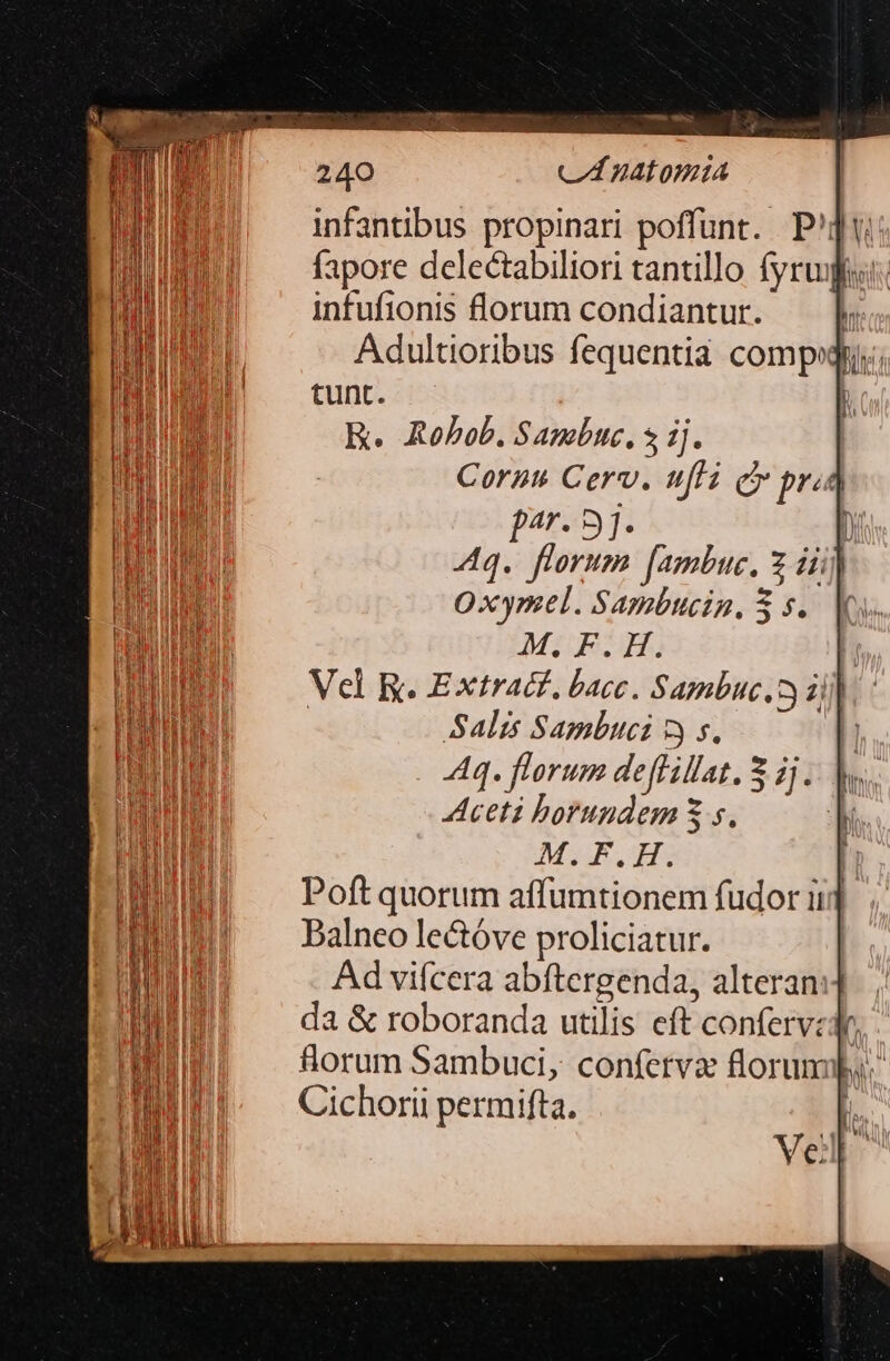 — A infantibus propinari poffunt. P'jy infufionis florum condiantur. j Adultioribus fequenti compri; tunt. | K. ARobob. Sapebuc. 5 ij. Corus Cerv. ufi cr pra p4'. 9]. D Aq. florum [ambue, z dii) Oxymel. Sambucin. 5. Kk MIUEDSDH. Vel RK. Extract, bacc. Sambuc,3 ij | Salis Sambuci 5 s, Ht Aq. florum deffillat. S dj. M... Aceti borundem S s, dM MULTIS | Poft quorum affumtionem fudor iij Palneo lectóve proliciatur. | Ad vifcera abftergenda, alteran: da &amp; roboranda utilis eft confervedy, florum Sambuci, conferva florum: dM Cichorii permifta. a Vell: