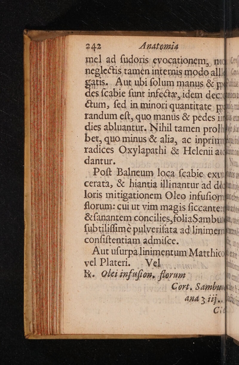 A: BATQUAMA mel ad fudoris evocationem; md | neglectis tamen internis modo alli] o gatis... Aut ubi folum manus. &amp; pbi dcs Ícabie funt infectze, idem dec: Cum, fed in minori quantitate. pix randum eft, quo manus &amp; pedes ipic dies abluantur. Nihil tamen prollpf/.ii bet, quo minus &amp; alia, ac inprium TH radices Oxylapathi &amp; Helenii aujiis dantur. | Poft Balneum loca (cabie. exviliii; cerat3, &amp; hiantia illinantur ad di loris mitigationem Oleo infufior] &amp;fanantem concilies,foliaSambut.: fübtiliffimé pulverifata ad linimernlhis; confiftentiam admifce. | Aut ufurpa linimentum Matthicohus vel Plateri. . Vel... A. Olei inf ufion, florum | Cort, Sambudi. ABA 3 1i].. H Ci