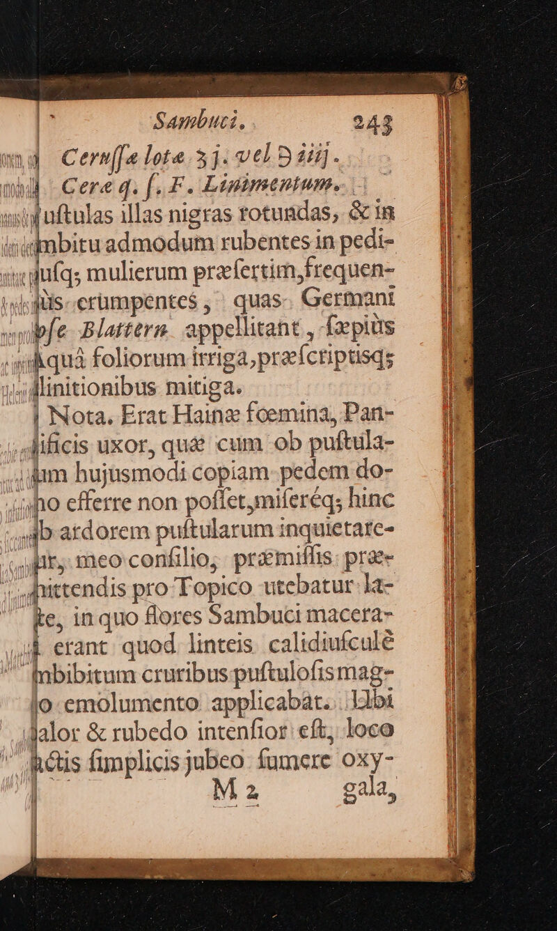 wg Cerm[[slote.5j. vtl 5i. mhil. - Cere q. f. F. Lisimentum.. wil aftulas illas nigras rotundas;, &amp; in sa gufqs mulierum prefertim,frequen- iwsfüis-erümpentes , quas. Germant owbfe- -Blattero. appellitant , faepius . sk quá foliorum irriga;praeíctiptisqs ws Mlinitionibus mitiga. | Nota. Erat Hainz foemina, Pan- .sificis uxor, qudé cum ob puftula- .. jam hujusmodi copiam- pedem do- iio efferre non poffetymiferéqs hinc db ardorem puftularum inquietare- yir, meo confilio; praemiflis: prae ', qfrittendis pro Topico utebatur: lt- Ke, in quo flores Sambuci macera- ik erant. quod. linteis. calidiuículé ^ fbibitum cruribus puftulofismag- lo-emolumento: applicabat. .. ibi |». alor &amp; rubedo intenfior eft, loco  inctis fimplicis jubeo. fumere oxy- D. oM 2 gala, u