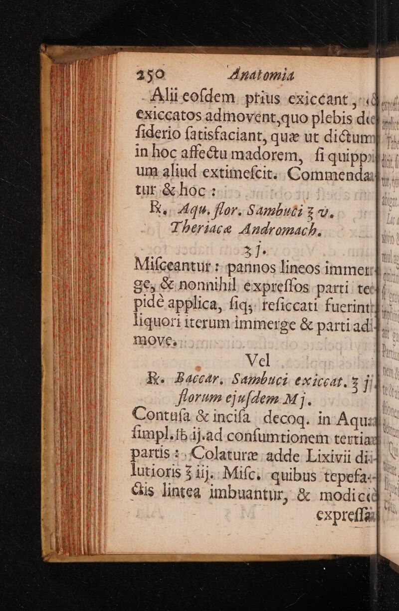 Alii eofdem phius exicéant ,* ivi €xiccatos admovent;quo plebis d]... fiderio fatisfaciant, quie ut dictum) *. in hoc affe&amp;u madorem, fi quippopu... um aliud extimefcit.. Commenda]. tur &amp;hoc : E. aqu. flor. Sambuti v. Tberiace Audromach., 3]. | Mifceantur :- pannos lineos immet:] ... ge, &amp; nonnihil. expreffos. parti: tei]; pidé applica, fiq;: teficcati fuerinti];: liquori iterum immerge &amp; parti adi] íi move, Vel dx. Bacear, Sambuci exiccat. 2 ji4. florum eju[dem Mj. i Conttía &amp; incifa/ decoq. in Aqui. partis :.|Colature : adde. Lixivii di:  lutioris 3 iij.. Mifc. quibus tepefa«4 eis lintea imbuantur, &amp; modici