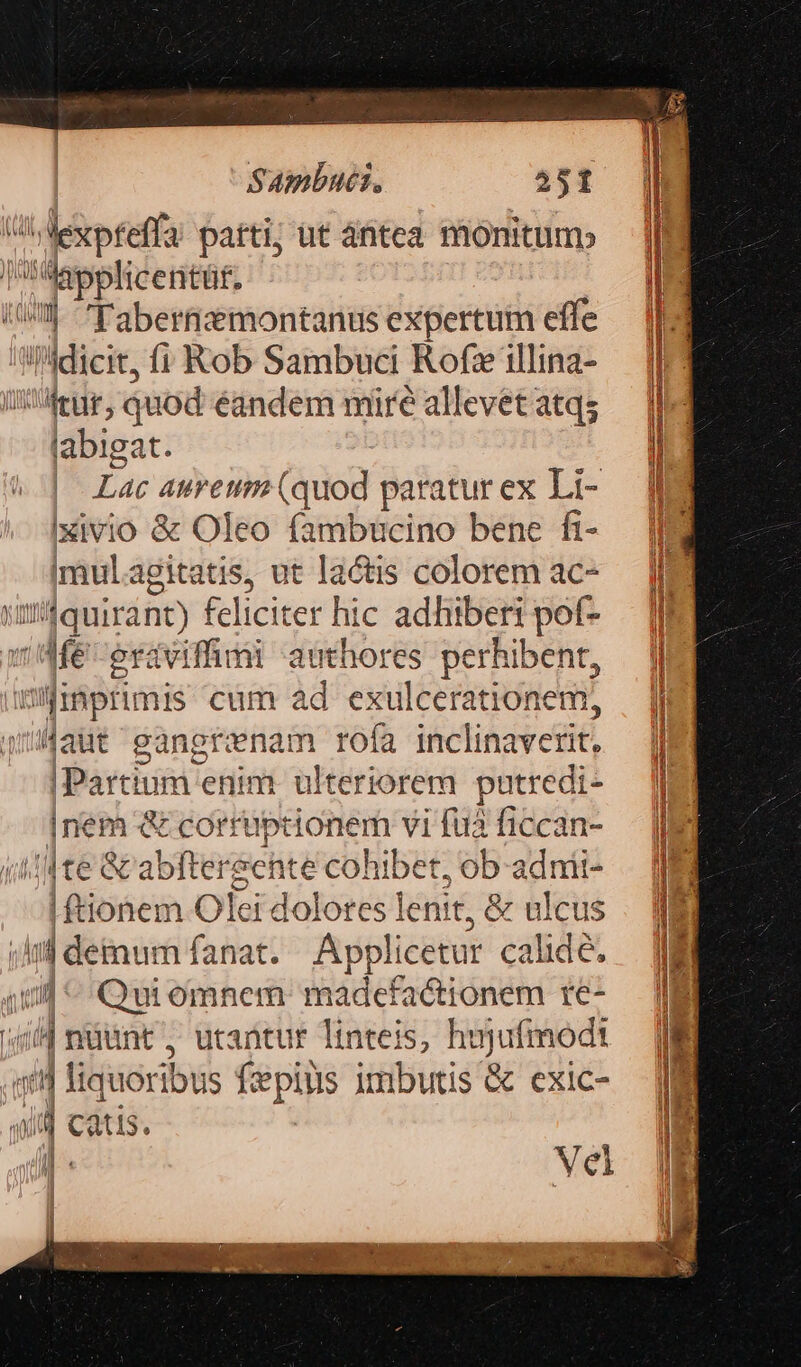 c despreft: t parti, ut ántea monitum» Mepplicentüf. i he 'Tabernizmontanus expertum effe Tldicit, (1i Rob Sambuci Rof illina- WArur, quod éandem mire allevet atqs labigat. Lac aureum (quod paratur ex Li- Ixivio &amp; Oleo fambucino bene fi- imulagitatis, ut lactis colorem ac- 'jquirant) feliciter hic adhiberi pof- 'dMeoraviffimi authores perhibent, nifinprimis cum ad exulcerationem, Haut gangrenam rofa inclinavetit, IPartium enim ulteriorem patredi- Ion &amp; corruptionem vi fuà ficcan- te &amp; abftereehte cohibet, ob adnii- d atonein Olei dolores lenit, &amp; ulcus /inl deinum fanat. — Applicetur calidé. i il - Qui omnem madefa&amp;tionem re- «id nint utantur linteis, hi Jie sn f| liquoribus fepitis imbutis &amp; exic- i cats. Vel