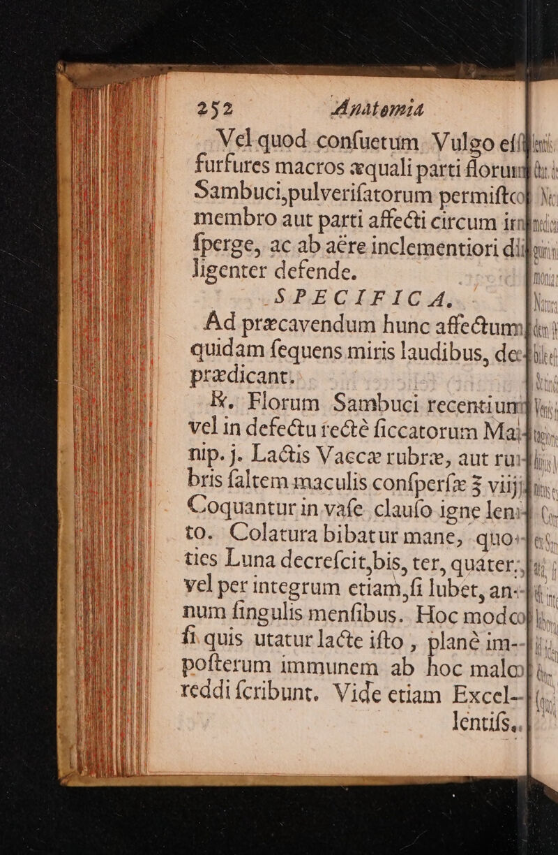 Vel quod. confuetum. Vulgo ef(fa: furfures macros xquali parti lorum: Sambuci,pulverifatorum permiftc]| X membro aut parti affe&amp;i circum inui: fperge, ac ab aere inclementiori dii]: ligenter defende. | SPECIFIC 4. | Ad pricavendum hunc affe&amp;um]is: quidam fequens miris laudibus, dc praedicant. Ix. Florum Sambuci recentium]; vel in defe&amp;u tecté ficcatorum Maji nip. j. La&amp;tis Vaecz ruübrz, aut rui]i;. bris faltem maculis confperfz 3 viijidos Coquantur in vafe. clauío igne len:] t. to. Colatura bibatur mane, quo:]; ties Luna decrefcit,bis, ter, quater;;|; Yel per integrum etiam,fi lubet, an--|i. num fingulis menfibus. Hoc modo). ft. quis utatur lacte ifto , plané im--i.; pofterum immunem ab hoc malo... reddiícribunt. Vide etiam Excel- | lentifs,