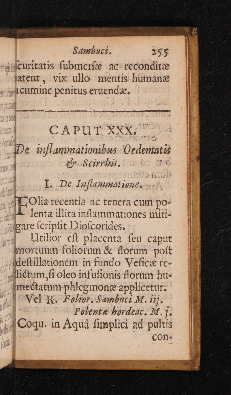 | | Sambuci, 255 td ;dJcuritatis fubmerfee ac recondit latent, vix ullo mentis humans ilt cumine penitus eruendae. 1 c» M capu Tees iDe ed Oederatis , Qu Scirrbis, | Io. De nlammatione, - « lE. Olia recentia ac tenera cum ve 4d lenta illita inflammationes miti algare Ícriplit Diofcorides. | Lltilior eft placenta feu caput -]mortuum foliorum &amp; florum poft ,Aldeftillationém in fundo. Vefici re- AMictum,fi oleo infufionis florum hu- ,, Smectatum phlegmon:e applicetur. Nel g. Folior. Sambuci M. Jj. Pelente bordeac. M.1. ; (Con. in Áquiá fimplici ad pulus | cons Fi EAR c —P ÉÓ MNre -