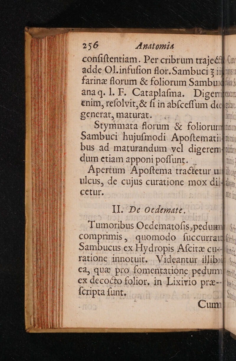 confiftentiam. Per cribrum traje&amp;] Cz adde Ol.infufion flor.Sambuci z iijjs: farinz florum &amp; foliorum Sambuid anaq.l.F. Cataplafma. Digeriju: enim, refolvit;&amp; fi in ab(ceffum del: generat, maturat. -.. | Stymmata florum &amp; foliorum] Sambuci hujufmodi. Apoftematii]us bus ad maturandum vel digerem dum etiam apponi poffunt. Ápertum Apoftema tractetur uii ulcus, de cujus curatione mox didi: cetur. II. De Oedemate. Tumoribus Oedematofis;pedum] comprimis, quomodo fuccurratj]f; Sambucus ex Hydropis Afcitze cu«Jii ! ratione. innotuit. . Videantur. illibol «.. ca, qua pro fomentatione pedum ex decocto folior. in-Lixivio pra- Ícripta funt.