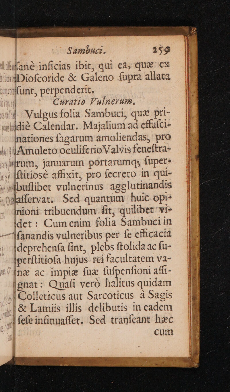 | Sambuci, 559 lfané inficias ibit, qui ea; qux ex o mti e Gom—————Ó— Men imsDiofcoride &amp; Galeno fupra allata — (d iofunt, perpenderit. 14 | Curatio Fuluerum. I s Vulgusfolia Sambuci, qux pri- vxliidià Calendar. Majalium ad effafci- inationes fagarum amoliendas, pro — | jj AmaletooculiferioValvisfeneftra- — uiilirum, januarum portarumq; fuper- i4 [ftitiose affixit, pro fecreto in qui- — e ;sebuflibet vulnerinus agglutinandis .Olaffervat. Sed quantum huic opis | Inioni- tribuendum. fit, quilibet 'vi* idet: Cumenim folia Sambuciin — |l —anandis vulneribus per fe efficacia — (9 ideprehenfa fint, plebs ftolida ac fu- |perftitiofa hujus reifacultatem va- — ME /^fnse ac impia fuz fufpenfioniaffi- — Mi lgnat: Quafi veró halitus quidam. | ;4J Colleticus aut Sarcoticus à Sagis * | &amp; Lamiis illis delibutis in eadem m ' AMefeinfinuaffet. Sed tranfeant hiec IB cun rcc