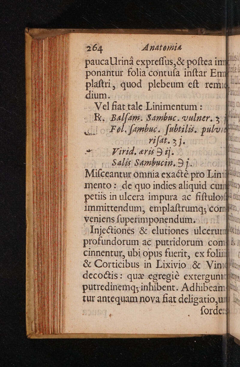 paucallrinà expreffus,&amp; poftea imf ^ ponantur folia contufa inftar Emq ^: plaftri, quod plebeum eft remud dium. , Velfiattale Linimentum : EK. Bal[am. Sapbuc. vulner. $ q^. Fol. fambuc. | [ubtilis. pulvi rifat. 2:1 w Virid. eris 5 dj. Salis Sambucin, 9. | Miíceantur ómnia exacté pro Lin: mento : de quo indies aliquid cur fio petis in ulcera impura ac fiftuloiff immittendum, emplaftrumq; corp. veniens fi üperim penendum. lh Injectiones &amp; elutiones ulcerurf profundorum ac putridorum com]! ; cinnentur, ubi opus fuerit, exfoliif | &amp; Corticibus in Lixivio. &amp; Vim decoctis: qui egregie extergunti]on putredinemq; inhibent. Adlibean:|!: tur antequam nova fiat deligatioyu i forde: