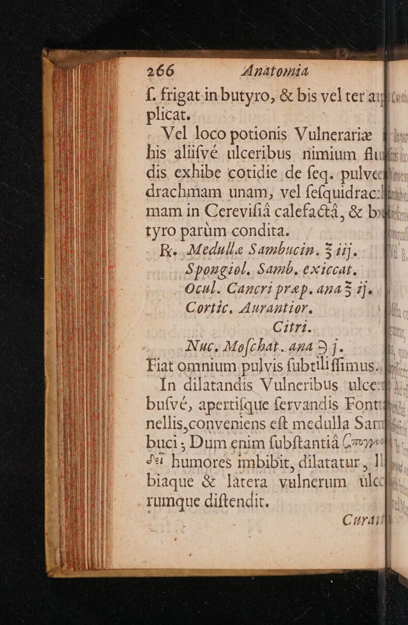 plicat. Vcl loco potionis Vulnerariz his alüfvé ulceribus. nimium ful: dis exhibe coudie de feq. pulvepo: drachmam unam, vel fe(quidrac:loi nam in Cerevifià calefactá, &amp; bol: tyro parum condita. K. .-Medulle Sambucin. 5 dij. Spougiel. Samb. exiccat. - Qcul. Cancri prap. ana d]. Cortic, Aurantior. Cztr1. Nuc. Mo[chat. aga 5j. | Fiat omnium pulvis fubtiliffimus. | In dilatandis Vulneribus ulce buívé, apertiíque fervandis Fonti nellis,conveniens eft medulla Sar buci ; Dum enim fubftantià Cz ?« humores mbibit, dilatatur, biaque &amp; làtera vulnerum uk rumque diftendit.