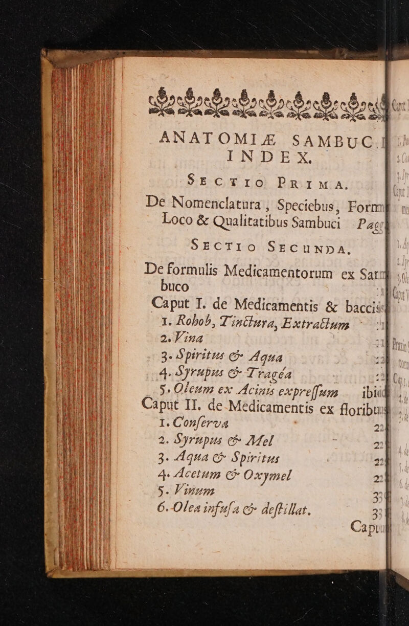 CN xo dontocto ct: ANAT OMIJA SAMBUC. INDEX. SECTIO PRIMA. De Nomenclatura , Spectebus, Forn Loco &amp; Qualitatibus Sambuci Paul SECTIO SECUNDA. I. Robob, Tintluya, Extratium 2. P'ina 3- b ptritis € ana 4. S yrupus c Tragéa *r y Ofeum ex Aciats expre[funm .— ibiid Caput II. de.Medicamentis ex floribus I. Conferva 2 2. Syrnpus c Mel 3. qua cà Spiritus 4 deetum C Oxymel s. Fanum 6.-Olea infufa có deffillat. 2 Q3 0) N s Era