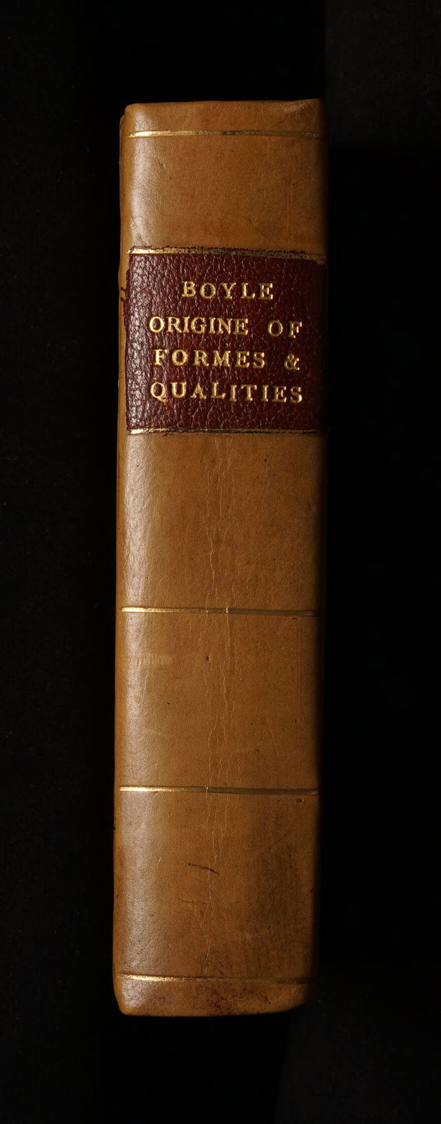 No text description is available for this image