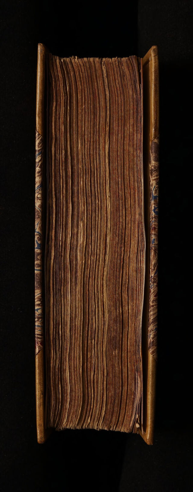 No text description is available for this image