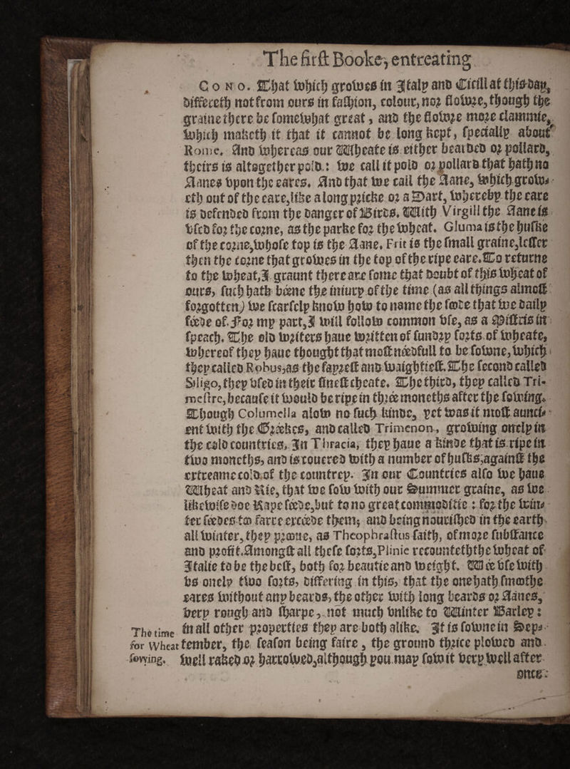 The time for Wheat The firft Booke, entreating ^ Cono. 30)attobicbgrotoes in Jtalpanddrill at f bisoap, difffccetb trot from ours in fasten, colour, no? fiaime, though tbe gratae there be fometobat great, anD the flotoje mo?e clammie, iubitb ma&ctb it ttjat it cannot be long fcepf, fpeaalip about Rome, 3no tobercas our mb cate to either braided o? pollard, theirs to altogether po'tu toe call it polo o? pollard that bath no Planes bpontbc cares, 0nd that toe call tbe 3ane, tobicb gesto* Ctb out of tbe earCjlibe alongp?tcfee o? aH>art, tvfyezehy ttye care is defended from tbe danger of Biros. mitb V irgili tbe Hane/s tifcD fo? tbe co?ne, as tbe parbe fo? tlje tobeat. Giuma is tbe bufite of tbeccmejlobofe top is the 3ane. Frit is tbe fmall gratnejlcffcr then tbe co?ne that grotoes in tbe top of tbe ripe eare.Co returne to tbe to beat, 3 graunt tb creare fome that Doubt of this tobeat of ours, fuebbatb b®ne tbe iniurp of tl;e time (as all things almcS forgotten) toe fearfelp fenoto boto to name tbe tote that toe Dailp feede of. j?o? mp part,! toill foliolo common fife, as a ^iffrisut fpeseb. C.be olo totters baue to?ittcn of fundjp fo?fs of tobcate, tobereof tbep baue tbougbttbst meftrtodfuli to befotone, tobicb < tljcr calico Robus,as tbe fap?eft and toaigbtieft. HCb e fecond calico Siligo, tbep fifed fit their fin eft cb cate. SDbcfbitd, tbep called Tri- mehre, becaufe it tooulo be ripe in tb;ee monetbs after the folding* SDbongb Columella alol» n&fucbtunec, pet teas it ntoftauncf*' ont toitb tbe <0?aebes, and called Trimcnon , groining oireip in tbe cold countries, 3n T liracia, tbep baue a fcinoe that is ripe in ttoo monetbs, a no (srouerea toitb a number of huf&s,agatnft tbe rrtreamecoia of tbe totmfrep. 3fnour Countries alfo toe baue Mb eat and Hie, that toe foto toitb our Summer gratae, as toe itfcctoifeaoc Hape feede,!)ut to no great commositie: fo? tbe tout* ter feeaes t© fartterceede them; ano being nourilbed tn tbe earth all toinfer, tbep p?©ue, as Theophraftus faith, ofmo?e fubffancc and p?ofif,0mongftaU tbefefotts,Plinie recountetbtbetobeat of Slfaite to be tbebeff, both fo? beauticand to eight- m tie fife toitb fisonel? ttoo fo?ts, Differing fit this, that tbe onebatb fmcotbe cares toitbout anp beards, tbe other toitb long beards o? 8anes, fierp rough and fi)arpe,.nst much finltheto Minter USarlcp: fit all other properties thep are both alike. 3ft is fotone in %>cp fember, tbe feafon being faire, tbe ground tbficc plotocd and toell ra&ed o? bartotoeo3altbougb pou map foto it fierp toell after