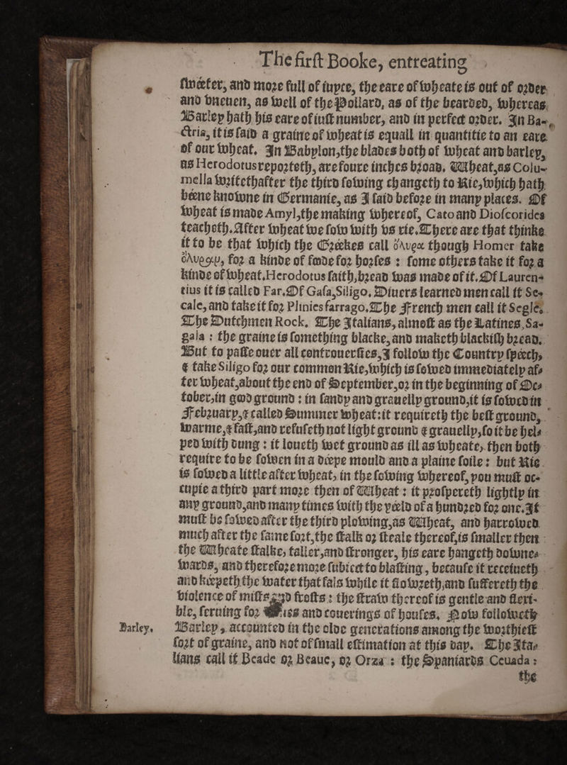 « flutter, and mo?e full of iupre, tbs ears oflobcate is ouf of c^der and tmetiett, as iodl of tbs pollard, as of the bearded, tolfemg Barfepbatb bioeareofiuftnumber, and in perfect o?der. 3jnBa- ftria3 it is fato a graineofiobsatis spall in quantifie to an sate of one tobcat, 3n 25abp!on,tbe blasts both of Inbtat and barlep, as Herodotus repojitetb, arsfoure inches bjoad. Mbsat,as Coiu- tortatis made Amyl,tfjema&ing fobercof, Cato and Diofcondea tsacbctb.Msr tobeaf foefololoitb bs tieMijetcate that tbinbe it to be that lobicb tjje d^cebes call o\vgx though Homer tabs cAv^, fo? a binds of fmds fo? bo?fes : foms others tabs it fo? a $5ut to pairs oner all conf cousrl*es,3i foliolo tljc Country (peecb, 9 tabs siligo fo£ our common Kie,ir<btcb is felosd immedtafelp af# tobet,in g©d ground: in fandp and gran slip ground,it is fetoed in Jfeb?uarp,? called Summer tobsat:it required tbs bsff ground, toarniSji fatf,ana refufttb not light ground #grauellp,fo it be l)cU pso toitb dung: it louetb lost ground as ill astobeate,tben both require to be fotoen in a deepe mould and a plains foils: but Mis is fotoed a little after tobeatj in tbs fetoing tobereof, pou mull oc* cupis a tfjirD part rno^e fbsn of Mhsat: it p?ofpsretb ligbtlp in mip grouno,and manp times toitb tbs peeld of a bundled fc? onc,3f mult bs fatosd after tbs third plctoing,as Mbeat, and bacrolocd much after tbs fame fo^tbe ©alb oj Heals tbereof,is fmallcr then tbs S® beats ttalbsj faller,and if rongsr, bis ears bangstb dotone* Si?ards3 and therefore mojefubicctto blafting, bscaufs it cccsiuetb Violence of miftsfszid ftofls; tbs ft tato thereof is gentle and fleri' bis, fcrut'ng fo? Wr,t$g and couerfngs of boufes, jf-toto follotorffr Barky, Barlep, accounted in the olos generations among tbs toojtbieft fo^t of grains, and not of fmall eftimation at this dap, £be3lfa*< lians call if Beads o^ Beauc, oj Orza; the Spaniards Ceuada: