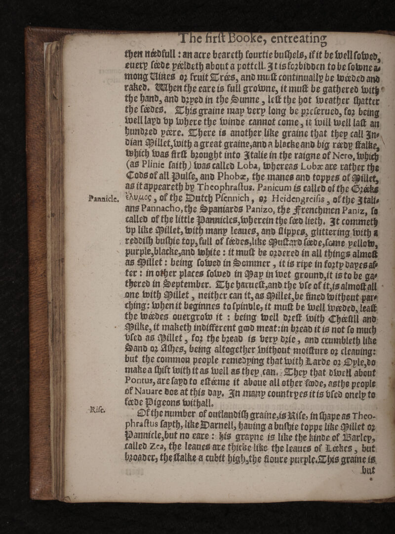 tym HKD full: an acre beared fourflebufbels, if it be toellfotoeo, euety fceoe ycclDetb about a pottdL3tfsfc?blooen tobefotonea# mong SIHnes o? fruit SCms, ano mutt continually be tocebeo ana rafeeb, Mben f be eare is full grotone, it mutt be gatbereo toltb *■ tbe ban&3 ano o?yeo in tbe^>unne, letttbe bot toeatfjcr flatter tbe fades. Xtys gralne may bery long be pjeferued, fo? being toell layd bp tofjere tbe tolnoe cannot come , it tolll toell latt an bunb^eo ycere. Cbere Is another llfee gralne tbat tyey call 3n# blan npillefjfoitb a great gralne,ano a blacfeeano big raoy ttalfce, ^bicb &as firtt brought Into 3ta!le In tbe ralgne of Nero, tobteb (as Plinic fatty) toas calleo Loba, tobereas Lobs are rather tbe Coos of all puife, ano Phobx, tbe manes ano toppes of cillet, as It appearetb by Theophraftus. Panicum is calico of tbe Chafes Fannicle, ehvfAog , of flfje 2DttfCb Plcnnich, 0? Heidengrdfis s of flje 3Rtaif# ans Pannacho, tbe Spaniards Panizo, tbe Jftencbmcn Paniz, fo calico oftbe little pannlcleSjfeberefn tbe feollerb» 3t commetl bp lifee fillet, toltb many teaues, ano Clppes, glittering toltb 8 resold bulble top,full of fades,lifse ^uttaro fade,tome yelloto, purple,blacfce,ano boblfe: It mutt be o?dercd In all tying# almott as fillet: being fotoed m Sommer, It Is ripe in fo?fy oayesaf* ter: In other places fotoed in ipay In toet grouno,it is to be ga« tbered In September. Cbeb®ruett,anotbebfeoflt,lsalmottall jne toltb fillet, neither can it, as ^lllef,be fineotoltbout par* cblng: tofjen it begmnes fo fplnole, it mutt be todl tombed, leatt tye toeeoes ouergroto it : being todl o?ett toiffj cbafill ano ^tllte, it mafeetb Indifferent g®d meaf:tn b?eao it is not fo much bfeo as fillet, fo? tye b?eao Is bery o?le, ano crumblefb llfce &ano o? ttfbes, being altogether toltbout moltture o? cleaning: but the common people remedying tbattoltb &arde o: £>yle,l>o mafee a Iblft toltb It as toeil as they .can. ;^bey that otodl about Pontus, are fayo to etteeme it abotie all other f©oe, sstye people ef Nauarc eoe at tyis day. 3|n many country es Itls bfeo onely to fixoe pigeons tolfbalL Rl'c' ®|(be number of outlanOKb gralne,IsMlfe, In fbape as Thco. phraltus faytb,life® SDarnell, bailing a bulble toppe like Qpillet o? pannlcle,but no eare: bis grayne Is like the funde of Barley, xalleo zca, the leanes are fblcbe ltbe tye learns of ilecbes, but b?oaoer, thettalfee a cubit blgb3fb® floure purple.&bis gralne is but