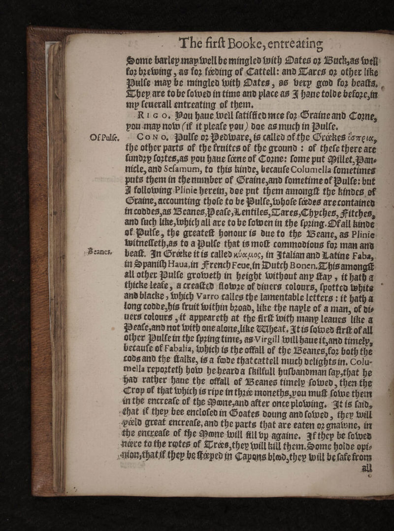 OfPulfc. Beanes- i. The firft Booke, entreating j&ome barlep inaplndl be mingled luitl; 0ates cz Badt,as fn $U foj butoing, S3 foj feeding of Cat fell: ana JEares oj other like pulfe map be mingled iuftfj £Daf es, 00 toetp gcod foz beatis* SChep are to be folded in time ana place as 31 (jane tolde befo^kt tnp fewer a 11 entreating of them. Ri g o. pou hane foeUfafiffiedmeefo^Craine and Come, pou map noto (if it pleafe pouj doe as much in pulfe. c o n o. pulfe 0? pedtoare, is calico of the Crcelses off^ iecy tl)C otljer parts of the frnifcs of the ground : of tfjefe there are fund?p fo.jtes,as pou bane feme of Come: fomeput fillet pan# niele3anoscfamufn, to this hiude, feecaufeColumella fomefimes puts them in thenmnber of Craine,and fometimeof pulfe: but U follotoing Plinic herein. Doe put them among# the feindes of Craine, accounting tbefe to be pulfe,lohofe fades are contained in coddes,as Beanes,peafe,2Uttfiles,&ares,Chpches,ififche08 and fucb lihe,idhich all arc to be fotocn in the fpnng.^Dfall feinoe of pulfe , the great c# honour is Due to the Beane, as PJinic te»tneflfefh,as to a pulfe that is mo# commodious ft# man and bea#. 3n Crabe it is calleo nu«4aoc, in Sfaiianano Ratine Faba, in £>panilbHaua, in ifrenchFcue,inS)utch Boncn.2Chis among# all other pulfe grotneth in height toithout anp #ap, if hath a tljicbe leafe, a creaffcd flotoje of diners colours, fpotfed tohifs andblacfee > Idhich Varro cailcs the lamentable letters: if hath a long coooe3his fruit&ithin bmao, like the naple of a man, of or# uers colours , if appearetb at the 8r#ldifh manp leaues libe a peafe,ano not forth 0nealone,lifte mijeat Sit is fofoed fir# of all other pulfe in the fpjmgttme, as virgin l»tllhaueit,ano timelp, becaufe of Fabalia, fohich is the offall of the Beanes,fo* both the coosano ffje ttalbe3isa fcoOe fhatcatteli much delights in. Colu¬ mella repotfefh hofo Ijetjearda flnlfull hulbaudman fap,fhat he p8d rather haue the offall of Beanes fimelp fofoed, then the Crop of that fohich is ripe in th?a moneths,pou mu# fofoe them ® fhe encreafe of the spcone,and after once plofoing. 3* is fat'd, that if thep bee enclofed in Coates doung and fofoed, the? foill fcelo great encreafe,and the parts that are eaten o^gnaltme, it* the encreafe of the spronefoM fiilbp againe. jffhep be folded n^rc to the r@fes of 2£r®s3thep pill bill fhem.£>oms holDc opt* £.y. /if._i * at ' * , ^ s . . e ,thep lo ill befafefrom sU 4