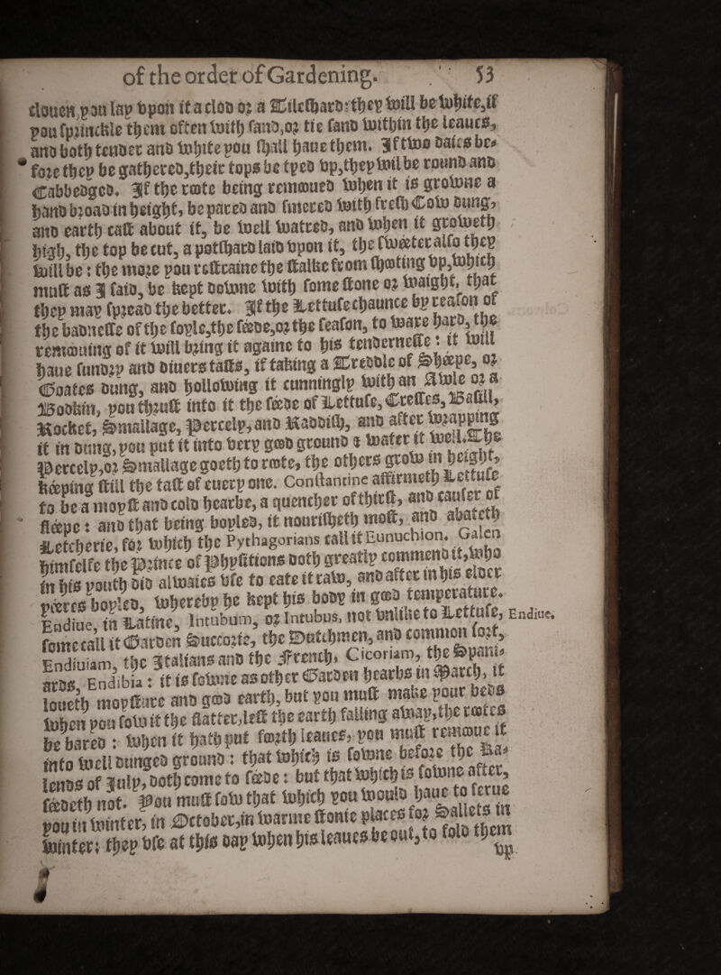 elouen pan lap bpon if acldD oj a Cilcfoaroitbeptoili betob‘te3ft pau fpiineKle £l)cm often toitb fano,o? tie fano Vuittjm tbe leaucs, ana both tenser anD tobite pou foaUbauetbem. Ifttoo Dales be* ' fine tbcp be gatbeeco,tbeir tops be tpeD bp,tbeptoilbe rounDans CabbeDgca. 3lf tlje crate being remraueD toben it Is grotone a bans b:oaD in beigb*» bepateD ana fmereo toitb frefbCoto bang? ano eartb caff about if, be toell toatreb, ana toben it grotnetip \)tgbs tbe top be eut3 a potfoarD laiD Upon if, tpe ftueetecalfo tpep toill be: tbe woje pou toft caine tbe ttalKefcom Opting mutt as 3 fata, be beat octone toitb fome ft one oj toaigbf, tpat t\)tP map fpjcab tl;e better, Me 3Uftufeci)auttce bpceafonof tbebasnefte oftpe fople,tbe fece^tfje feafon, to l»are baP, tbe remrauing of it mill toing it againe to toJtenDcri baue fiinojp ano Diners tails, if falling a SCreODleof m W Coates Dung, anD bollotoing it eunninglp ^Oban^toie o^a 25oDfsfn, pou tbtoft i«to it tbe feeae of ilettufe, ftochef, Stallage, percelp,ano mm% SfK percelpXimallage goetb to rente, tbe to be a mopft anD colDbeatbe, a quencher o* tbtrftr anb tamer Ji XtsaSSSZtSgSSSg^ asssssKKSKsa^f fomSut» town*. tfte ©at Jmtn, ano common oj , Endiuiam, the 3taiiansan0 tbe irreneb. Cicomro, t^&pan* arss Endibia: it is fotone as other 0atben bearbs m i^arcb, it imti>fh ntonffucc anti a©3 earfci), hut yon mull maUe pout htM iuben pou tot»ft tbe flatter,left tlie eartb falling atoap,fl)e races £ bares : toben it tjafh pot fratfb leaned pou mutt remaue it info tocUDungeD grounD: that tobteb fotone before tbe 5» Ss of iulppotbcometo febe: but tbattobtebtsfotoneafter, teoetb not. poti mutt fato ttjat tobicb PO« tooulb Ijaue to ferue Sfer; tbepbfe at tbls oap toben bisleaues be out, to tolo