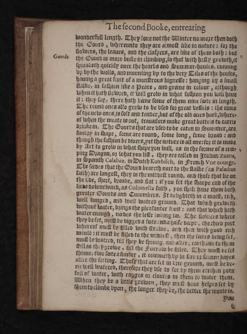 Gourds K; r (6 1 hefecondBo entreating foontjcrful! length. Cf)tp louenottbe Mutter nome;ethen Doth tl;e Cwtra, iuhereunto tfjeg» are aimed life® in nature: to? the floiners, the leaues, anD the clafpers, are Ufce of them both: out tlie Courts is ntoje buffe in climbing,fo ftjat inith hadp grointh,it fp.ieabeth quicittp ouer thchearboano fbummettyoukSi running tip bpthe &aUs, anD mounting bp to the berp Stiles afiije tjeutes, Ijaumga great fcult of a tnondreus blgneffc: Ranging bp a fmail ftalbCj In fallen I the a |0eare, anD greene In ectcur , although It ball) lioinrea, If Unit groin In tnhat fasten peu VutU haue itj ttjt p i«p, there bat!) been® feme of them nine fate In length, 2EI)c teams onesalfo groin to be bfeo fop great bedel#: the rinoe of toe neiu onc0,ls foft anD fenoer,bat of the ola ones harD,inhere* of inhen tl)c meate is out, frauailers mafee great better# to carne bjlkbeln, SDfye CwirD# thatarebfea to be eaten In jsmmmer.are nmt?p rn tbape, fomearerouno, fame long, feme bpoao /ana though t!)e fall)ten be aiuer#,pet the nature is all one: fez it is maee bp drt to groin in inljat fliapepett tut!!, act in the fopme of a eras» t ptng SDpagon, op inhat peu lift, thep are eaileb In BJfaiian zuma, m ppantth Calabaz, In Smutch Kuirbifcb, In Jfrcnth Vne courge.. ,0 ^attl^^ura beared) nert to thedalbe fas Paladius rant)) are longed, thep tit the mteaeft rouna, ana thefe that ile on the noe, dtopt, bpoaDc,. ana Sat: If pen fet the fljarpe enb of the fee>eaoiunei»aro,as Columella faith , pen fljtaii fjaue them both greater Routes ana Cucumbers. 3t Delighted) in a mold, tub. ? to*u toatrea grounu. JZfat inlmh groined) ^tngs the pleafanter fruit: ana that inhlch hath IT. ™** 9J?m *be im ‘m'm$ f®* && Uohms inhere e , njttdbe aiggea a fcate i n&a half® a&pc, tbefhirb part ^ns^!f.mefi!le0 ^Ith draine, ana then Snith gooO rich mudenS^bfC,>i!hD 5 m Stic rTfSl £?0,? \rt cc5Kmct^P to fire o? danenoape# rte h eU imtrrffi acc fi *1,1 t?,c sreano, mtrd bebe«» 2 IS2S