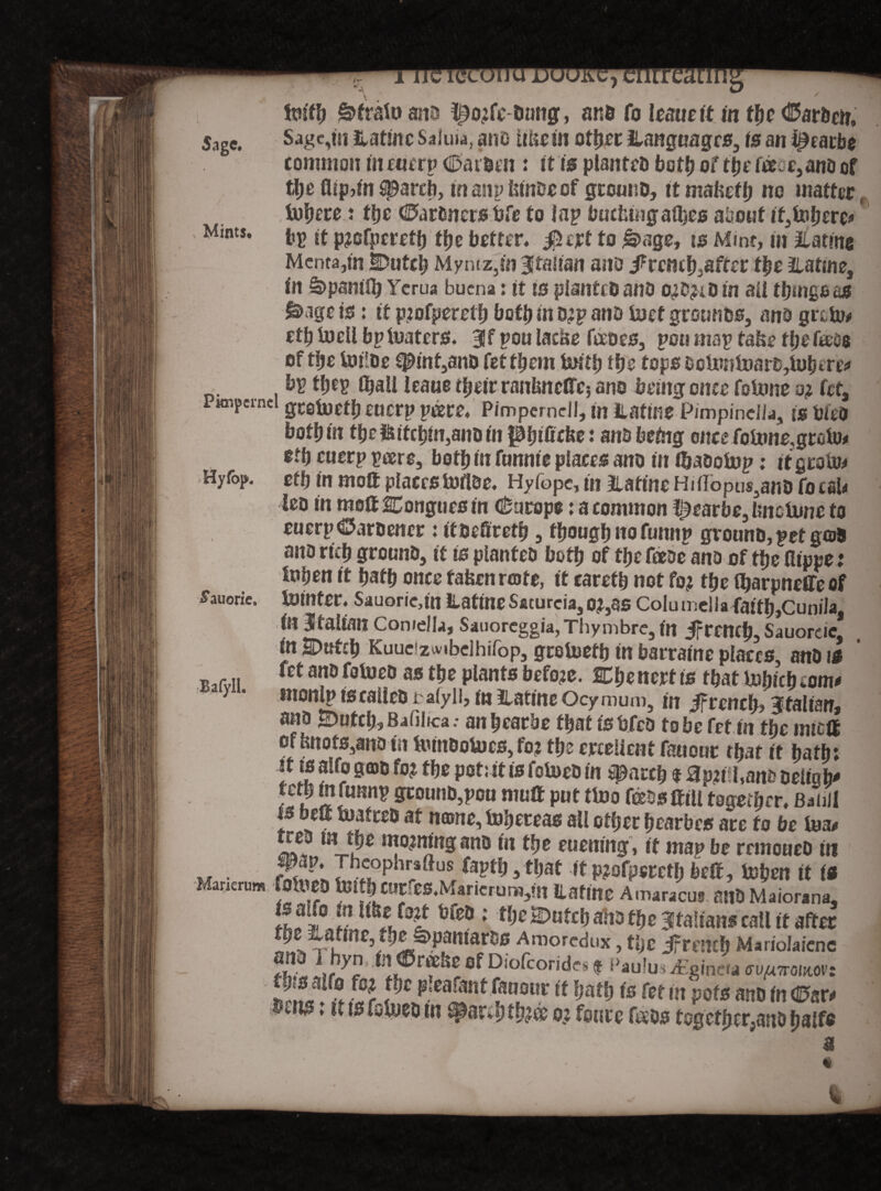Sage, Sage,tu iiatmc Salma, anD itUein other ilangtmgcs., is an l£earbe common in enerp <B5arben : it is planteo both of the fee :e, ano of ^ V a ift # to m the (Jip)tn ^arcb, in Mints. Hyfop. binoeef grouiiD, ttmafcefb no matter, tufjerc: the 4D>artsners bfe fo Jap bucfcingal^es about ifafoberea bp it p?ofperetb ffje better. ipterf to loage, to Mint, in Jlatmc Mcnta,tn Dutch Mymz,fn Italian ano f tenth fiftet the 2iatme, in %>psniib Ycrua buena: it ts planteo ano o?D?iOin all things as £>ageis: it p?ofperetb both in o?p ano toet gtotmos, am grtto* eth toeil bp foaters. 3f pou lacke feeoes, pen map fafce the feeoe of the foi'oe ^mt5ano fet them U>itb the tops octe«toaro,tubm'* bp tfjep OjaU leaue tbeirranbncffc5 ano being once fotonc a? Cct3 Piaipernei geefoeffj eucrp peiere. PimperneJI, in Hatme Pimpindl*, is Met both in the ft tfcjjin,ano in pjjificke: ano being oncrfoUwe.grofo* eth cucrp peers, both in ftmme places ano in i&aoofop: it grofo* eth in moft places tofloe. Hyfope, in 3lattne HifTopns.anD fo tab leo in mott SCongtiesin (Europe: a common l^earbe, Imctune to euerpCMroencr : itoeftretb, though no funnp gvouno,pcf goS ano rub ground, if is pianteo bofb of fbe feeoe ano of tbe flippe: fwben it bafb once fafeenrafe, it carefb not fo? the fljarpneffe of loinfer. Sauorie,tn iLaftne Saturday?,as Colu me!ia faifb,CuniJa, in Italian Cornelia, Sauoreggia, Thymbre, in ifrcntb, Sauoreie* in Dutch Kuucziv.belhifop, greluetb in barraine places ano is fet ano fetueo as the plants before. SDbe nerf is fbat inbicb eom* ntonlp is calleo tafyll, inliatineOcymum, in ifreneb? Italian, ano iDufcb, BafiJica: an bear be that is bfco to be fet in the tmetf of knots,ano in UunOotucs, fo? tbe erceiient fauout that it bafb; it ts alfo gojo fo? fbe pot; it is fotneo in #accb « 3p?til,ano Deling ff 7 ffcoimt,3pou «miff pnt tlno feeds JtiU together, Baiill f b*a Rafted at nme, fobeteas all other bearbes ace to be tea* re- tn tbe mo?mngano in the etiening, if map be rrmoueo tn M • X; Thcophr3ftus fapfij Sthat it p?ofpsteth belt, toben it is Manerum foto fin 11CUcfes.Marierumgii Eafine A.mracur anO Maiorana, Utsi(o£ m :jhc®utchahothe Italians call it after fbe Ratine, fbe ^paniaros Arnorcdux, tbe Jfrmcb Mariolaicnc fhi »>r inj&reeks Of Diofcoridcs f i>au!us dEginera (TU/uttoihov: thsaifo fs? the pleafantfanour it Ijatb is fet tn pots ano in ®sr< $ens; tttsfoUieo tn ^arebtbl® o? fonre feeos fogcfber,an& haffc ^auorie. Bafyll.