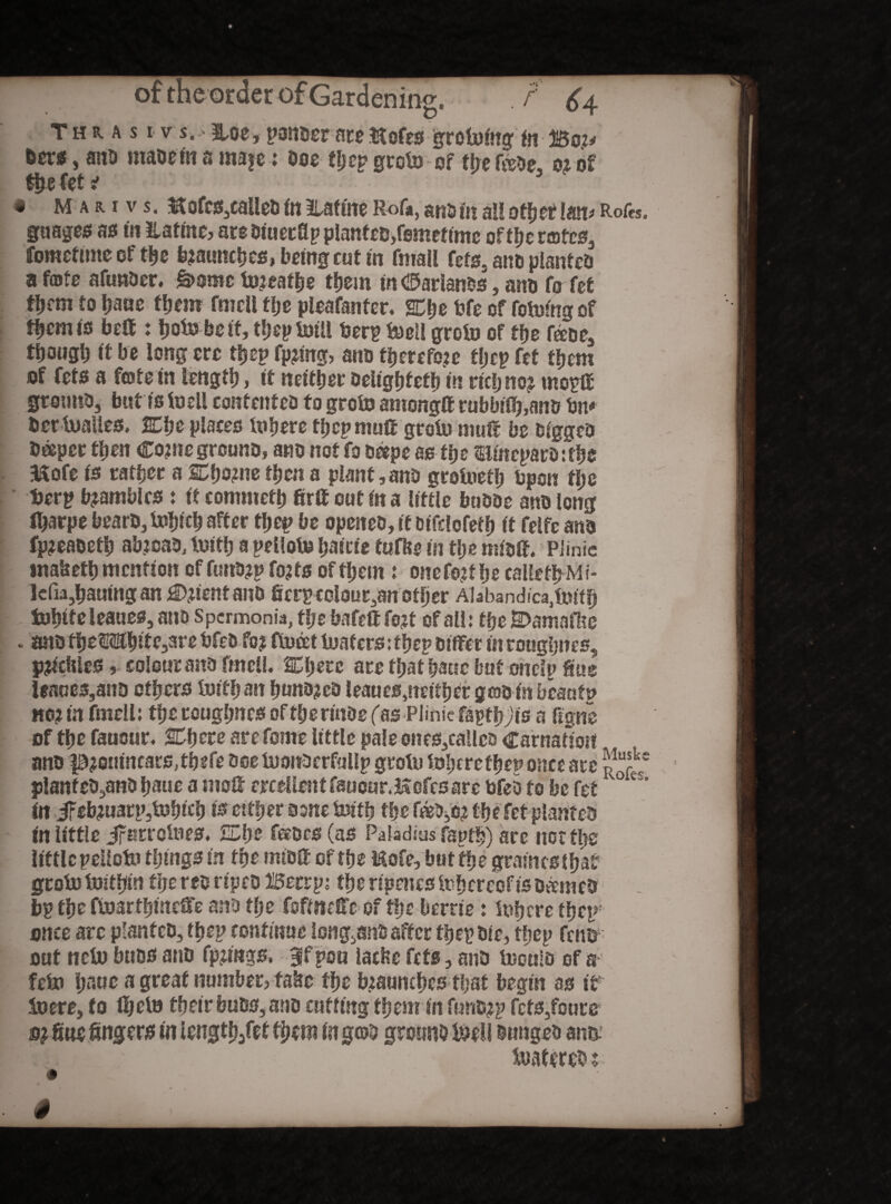 T h r. a s I V S. - Hoe, ponderate iftofes groining in IBo;* bm , ant) made in a maje: doe tljty groinof the fade, 02 of the kti 3 • mauvs. $tofcs,caUed in llafme Rof*, and in all other to Rofes. pages as in ilatme? are diuetUp planted,femetime of tfjc rotes, ffomefime of the brunches, being cut in fmall fefs. and planted a f®te afunder. £>oroe iojeafhe them in (©attends, amj fo fet them to haae them fmell flje pleafanter. SCtje bfe of foiofng of th em is belt: hoio be it, thep trill berp ioell groin of the faoe3 tijotigi) if be long ere thep fp?ing, and therefore thep fet them of fets a fleet e in length, if neither delighfeth in rich no? tnoplf ground, but is foell contented to groin among® rubbifl^and bn* dctinalies, 2Cf;e places inhere then mutt groin niuft be digged daper then Co?ncground, and not fo aape as the tllmepardtfhe &ofe is rather a SDho?ne then a plant,and groioetfj bpon fl;e berp brambles: if commefh fir® out in a little budde and long fijarpe beard, inhich after thep be opened, if difdofefh if felfe and fp?eaoeth abroad, luttfj a peiloio baicie tufbe in the mid®. PJinie tnabeth mention of fund?p fo? ts of them i onefo?f he caUefbMi* lefu5hauingan Orient and firrpeolout,an other Alabandica,itnth tuhiteleaues, and Spcrmonia, tlje bafett fo?t of all: the £>amafbe . and fhe?®hite,3re bfebfc? float loafers:thep differ inroughnes, parities, colour and fmell. SDherc are that hauc but ondu Sue ieaoes,astD others ioifh an hundred leaues^eithergooin bcaafp no? in fmell: the roughnrs oftherinde fas Piiftie fapthyis a figne of the fauour. 2there are fome little pale ones,callea Carnation and p?ouincars,thefe doe inonoerfullp groin iohtrefhep once arc JJSf planted,and haue a molt frcellent faucur.Hofcs are bfeo to be fet °es* in ifeb?uarp,iohich is etther done ioith the feedjO? the fet planted in little Jfntroioes. she fades (as Paladias faptb) are norths little peiloio things in the mid® of the ISofe, but the gramesthar groin toithin the red rtpcD Betrp: the ripenes thereof is darned bp the finarthineffe ana the fofmeffe of the berrie: inhere thcp: once arc planted, then continue Iong,andaffcr thep die, thep fens out ncin buds and fp?mgs. 3fpou lathe fefs, and inould of a fein he.uc a great number? fabc the launches that begin as it in ere, fo lb tin their buds, and cutting them in fund?p fefs,fours 0? fine fingers in iength/ef them in god ground ineli dunged and- iiiatered;