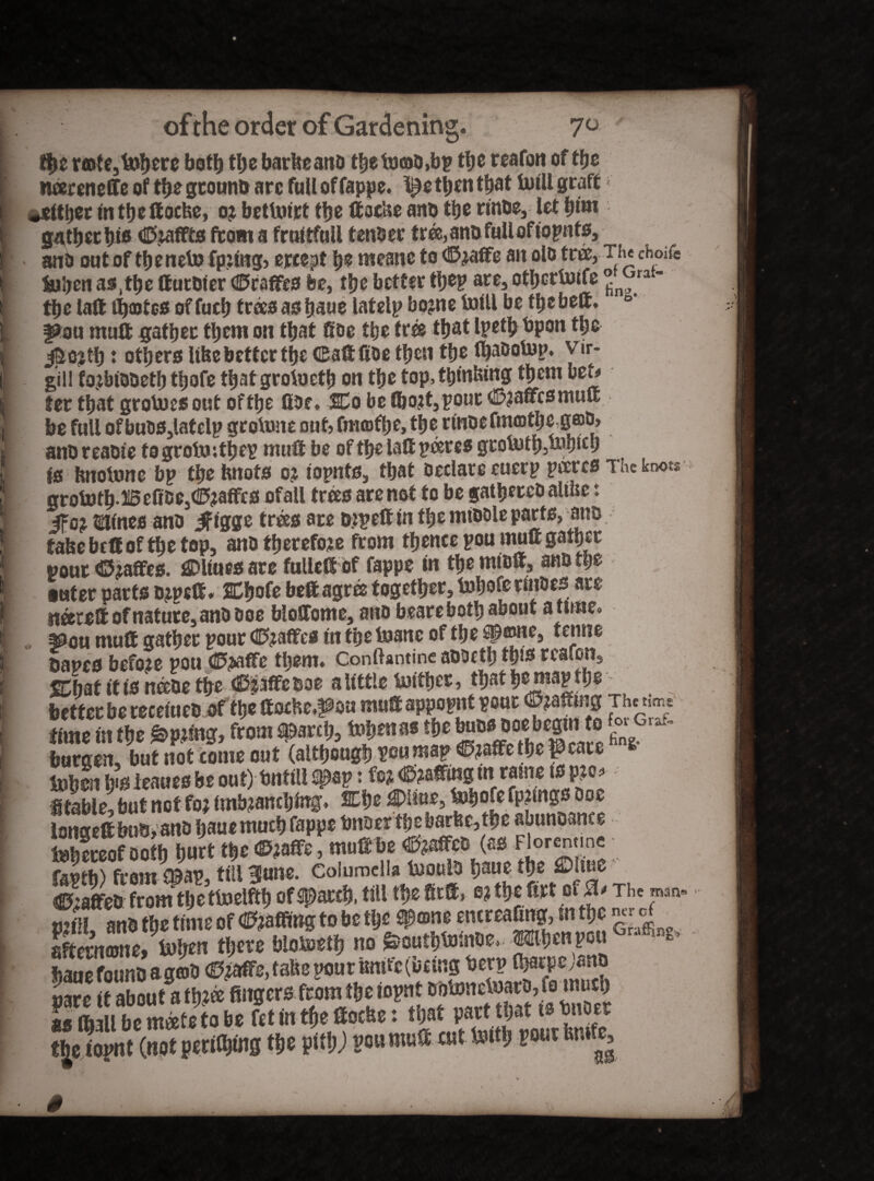 f!>e rate, Merc bott) the barkeand thefocitd,bp the tea fan of the tteerenefie of the ground are full of fappe. Ml graft «sitter In tfjeffocke, o? bctUnrt ttje ®ocke and the rinde, let him gather his <©iaffts from a fruitfull tender tree, and full of iopats, and outof theneto fp:ing, ercept he meanc to <©iafie an old tree, Tiw choife Men as,the ffutOter (©caffes fee, the better they are, cthcrMe °n ra the la® fhffltcs of fueh trees as haue latelp bojne Ml be thebe®, fdau mu® gather them on that fide the tree that Ipetb bpon the $03th: others like better the (Eaftfide then the HjaDotup. vir¬ gin foibtddeth thafe that grolueth on the top, thinking them mU ter that grotoesout of the fide. So be fl)Qjt,pour dlpaffcsmu® be full of buds,lafelp groiune out, fmoifhe, the rmoefmmthe-.gab» andreadte fogrobJ’.thep mu® be of the laft pares groMpMnb is fcnoMe bp the knots o? iopnts, that declare euerp pares The knots grotofh Befide,(©?affcs ofall trees are not to be gathered alike: Clines and ^igge trees are dzpett m the middle parts, and take be® of the top, and therefore from thence pou mu® gather «our ©iaffes. iJDltues are fulle® of fappe in the mid®, and the tetter parts dips®. 2Chofe befi agree together, Inhofermdcs arc of nature, and doe bloSTome, ano beare both about attine» mm mu® gather pour (©gaffes in the Inane of the Spame, f enne daues before pou <©;wffe them. Conftantine addeth this reafon, Shat itisneede the (©ilffedoe a little Mtycr, that hemap the better be receiued of the ®orke.f ou mu® appopt pour W®*n0 Jhctij time in the £Mng, from spare!;, tornas the buds doe begin to ^ >~ buraen, but not come out (although pou map C?a®e the peace Men h'S ieaues be out) bntill Spsp: fo? <©?a®ing in ratne ts pio* Stable, but neffoj impanelling. SEhe €>Utie, ihofefp?lngsdoe longe® buuvand !>aue much fappe bndertpbarkc,the abundance teljcteof Dotl) Ijurt ttje ©jaffs, muflte A®f.!i°rSl- frotrfthe twelfth of #arch, fill the fir®, e; the firt of&The man» £575 4m tUMft no JatDtoinDe. «(won «-** bane found a gad (SpafFe, take pour knife (being berp (harpc^aitd yare (t about atfijffi fingers tomt&otoynt bbSBnctoaro.fi1 mutfi as (bill be mate to be fet in the ®ocke: that part that ts bnoer theiowtt (wot pertains tije yiftij you mu# cut toitt, EoutSmfo,