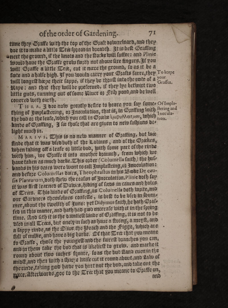 of the order of Gardening. 71 \ time the? sESiaffc toitb tbe top of tljc <25zaft dotunctoaro,a»ti tbe? Doe it to mafce a little SCree fpjead in bjcaotb. 3t is bell (^raffing «nett tbe ground, if ttje knots and t|»£ ttocbetoiU fuffet*: anti Plmic tnottlo baue tt>e (H^affe grotoftotb not aboue fire fingcrs.3f fou fcjill ©jaffe a Uttle Em, cut it neere tbe ground, fo as it be a forte and abalfe tiigt). ?f pou toould tmy pour <®}&ft$ farre,tbep °• CCPC luill longettheepe tijetr fappe, if tbep be tbwff into ttje rote or a GrafFcs. ' &ape; and that fbcp hnilbc pjefertted, if tbcplpe betuJitt ttoo little guts, running out of feme JXtuer o? jfity pond}and be well touttrt m noto stcatlp BC(I„ [,M« sou r«’ fOMC< Oflmpl». t$togof jmpUOcttts, o> anotiiUtton, tfjatia, ta>©,lafflhjjtatft lnocJlsl. tbe bub o? tbeieafe,tobirb T?ou tailm fc^vMew^v, wp t> non* binde of faffing, 3 fee tbofe tfjat are giuen to neb? falbions m* l*0M T?i vs. snot's is no nelo manner of (Staffing, but to® finde that it teas bfedbetb of tbe ilatines, and elthc^ahcs, tobentahing off a leafe o? little bub, tuitb fome part oftbe rtnoe toitb bim, toe d&affe it into another bjatmtb »® WJ* feauetaken as much bar beXbis o?oer (Columella fattb; WW* . bands in bis owes tocre tuont to tall Smplaff dng,o?|noculatton. and before Columellas Dates,T hcophrallus hi btS ^®bcDccau- fw Plantarum3Botb(betu tbercafon of3btocnlatton.Pimiedotb ft? it to as firff learn eo of ff* *« of STrees. CbtshindeofRaffing,a» ?°l^n.d,f < our ©drone» tbcmfelues confeffe,,tsbeff mer.about the ttoelftb of 3une: petDidymusfastb^ebatb®^^ feo in this maner,and batb L/to be «me flrtO ftfo it is the dattrtieff Umde of faffing, it ss not to oe hfet) in all 2Dt®s, but onelp in fucb as baue a ftcong, a mepft, and a fappp rinBc.as tbe £)ltue tbe peacb ant) the ifigge, tobteb are ffijm bane a big tarke. £>t W Em W m S» paungeft and tbe ftireft M»**gg and in them take m bn* that is Ukelteff to grot», anomarbeit mioff and then toitb a fljarpe knife cut it round about,atw of fhetinde taking g®& b®bepou butt not tbe bud,and take out tbe x.