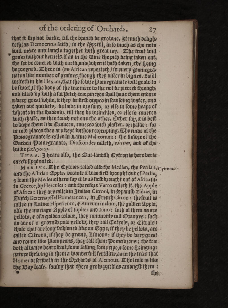 that ft flip not bacfee, fill the branch be grotone, 31 much Deligh* tett)(a« Democritus faith) in the infill, info much as the rents Sbill mate anb tangle together biith great iep, £hefruit toill * groin buthout kernels,if as in the HUine tfje pith being tafeen out, Ait . V y v « „ w ^ «. . - : 1 i 1 i i f I I I t ' bepjopneb. SCfycte is (as African reported)) ineuerp |0omegttw natealifee number of graines,though the? Differ in bignes. Baiili tonteth in his Hexam,that the foi»?e pomegranate toill groin to ; be flneetjif the bobp of the fra neerc to the rot be pierces though* ana filled bp bntfe a fatpifeh tr® pimpou lhall haue them enbure a beep great tuhile, it tfeep be firff Dtppcb in fcaulbing inater, ana tafeen out quiefeelp, be latoe in o?p fans, 0? elfe in Tome heape of 5nh cate in the fljabbotu, fill thep be bbincfeleb, 0? elfe fo couereb 1 Juttfe chaffe, as thep touch not one the other, £Dther fap,it is beff tofecepe them lifee Quinces, coucreb ioith plaffer,ojchalfee; fo? in colb places thep are feepf bnthoutcojrupting.Cberinbe of the pomegranate tscallcD in iiatinc Malicorium: the flob^e of the Carben pomegranate, Diofcoridcs calleth? kutivov, anb of the ioilbe^x^fftop. Thu a. 3hcarealfo, the £DuManbilhCpfronishercberie tarefullpplanfeb, M a r i v s. SChe Cpfron, called alfo the Median, the Perfian, cytron*, • anb the Atfirian Bpple, becaufe it toas firff brought out of Pcrfia, f from the Medea .‘others fap it bias firff brought out of Africa in<* to Greece,bp Hercules: anb therefore Varro callcfhff, the Apple of Africa: tfeep are called in 3falian citroni, in §3>pani(h zidras, in gEUltCb GetcmapfFclPomcrancen, in JFrencfeCitron: thefruit IS ! called in 2LatineHipcricum, $ Aureum malum, fhegofoen 8pple, alfo the manage Hpple of lupiter anb luno: fuefe of them as are pelloin, 1 of a goloen colour, thep commonlpcall Ranges: fuch 5 as are of a gramfij pale pellobr, thep call Cofrols, oj Cifruls: tfeofc that are long falfefoncD lifee an Cgge,if thep bepellobj, are called Citrons, if thep be greene, Simons t if thep be berp great anb rounb lifee pompeons, tfeep call them pomciozcns t the tree both albjaies beare ftuif/ome falling?fome ripe,$ fome fpnnging: nature Vetoing in them a bumberfull ferf ilitie,asin the trees that Homer bcfcribeth in the 4D?cbarbs of Alcinous. 2T he leafe is lifee V I ib$ 3®ap leafe? fauing that there gref»p?icfele$ araongff them: