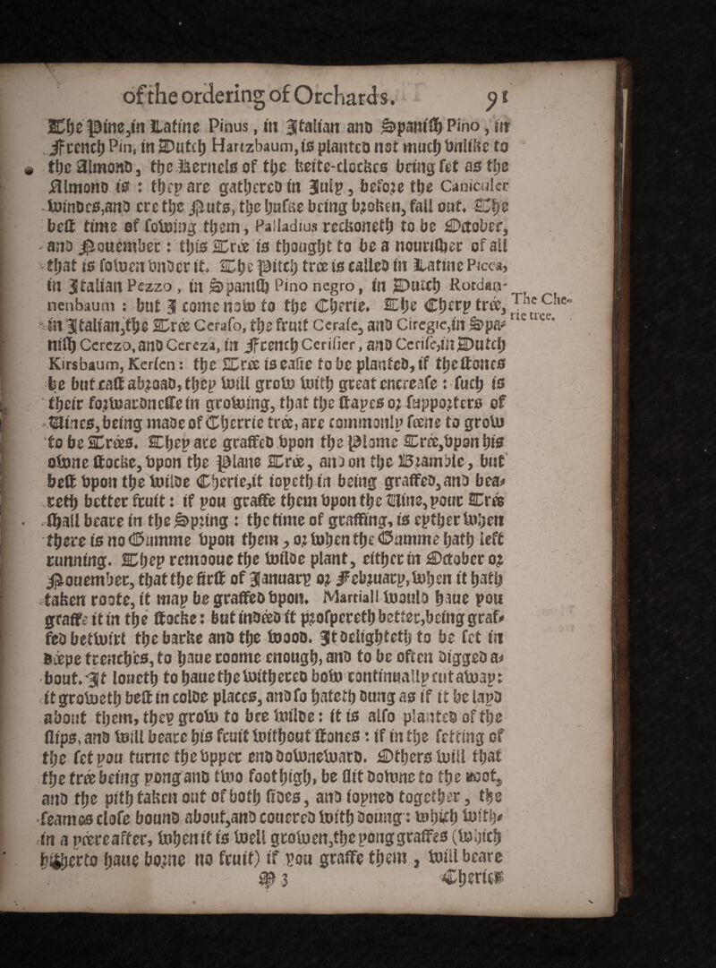 2£heptne,in ILatine Pinus, in 31 taitati ana &)pamflj Pino, nr . jfrcnch Pin, in SDufch Hartzbaum, is planted not mud; bniihe to • theaimona, the kernels of the feeite-cloclscs bring fct as the kimono is : tbep are gattjcreo in 3ulp, before tbe Canicular 4»inDcs,ana crc ttje jjiuts, the ijufae being bjofcen, fall out. Che bcR time of fotoing tfjem, Palladius recUonetl; to be ^Detober, ana jpouembet: tl;ts 2Droe is thought to be a nourflber of ail i tl)ut is fotoen bnaerit K^rcpucl) tree is calico in natui e Picca, 111 5taiian Pezzo , in Pino negro, in HDuiCh Rordarj- nenbaum : but 3 come noto to the Cbfrie. SDtje Cherp tree, 4in 3talian,the 2Dr© Ccrafo, the fruit cerafe, ana Circgie,in ^pa* niii) Ccrczo.anO Ccrcza, fit ifcench Cerifier, ana CeriicjinSDutch Kirsbaum, Kerien: the 2Dree is eafte to be plaufcD, if the Rones be butraR ab^oab, tljep toill grot» toitl; great encreafe: fuch is The Che*> tie tree* ; their fojtoarancffein growing, that tl;e Rapes o? fuppojters of twines, being maaeof if herrie tree, are commonip feene to groto to be SDrees. SChep ace graffcD bpon the piome 2Crfe,bpon his atone ftoebe, bpon the plane ICree, ano on the B iambic, but belt bpon the toilae Chcrie,it iopeth in being graffea,ana bea* ceth better fruit: if pou gcaffe them bpon the mine, pour Cree RjaU beare in the Spring : the time of grafting, is epthertobeti there is no <®tmtme bpon them > o? tohen the <E>amme fjattj left running. 2Cl;ep remooue the toilae plant, either in C*etobcr ot ^ouember, that the firR of Bfanuarp oi #ctouarp, tohen it had; 4aben route, it map be graffebbpon. Martial! tooula blue pou grafts it in the Roche: but inbeea it p^ofpereth better,being graf« feabettofri the barfce ana the toooo. ?t Delighted; to be fet in beepe trenches, to baue roome enough, ana to be often aiggea a# bout. 31 louetb tohauethetoithereo botocontinuaUpcntatoap: . it grotoeth beR in coiae places, ana fo i;afeth bung as if it be lapa about tl;etn, the? groto to bee toilae: it is alfo plantea af the flips, ana toill beare his fruit toithoat Roncs: if in tl;e fetting of tl;e (ct^on tume thebpper ena aotonetoara. Others toill that the tree being pong ana ttoo foothtgh, be flit aotone to the noots ana tl;e pithtaUen out of both floes, ana iopnea together, the feames clofe bouna about,ana couerea toith aoung: u»l;ifh toitb* in a pdereafter, tohenit is toeii grotoen,the ponggraffes (tohich hUierto haue bo;ne no fruit) if pou graffe them , toill bcare $p 3 Cherts