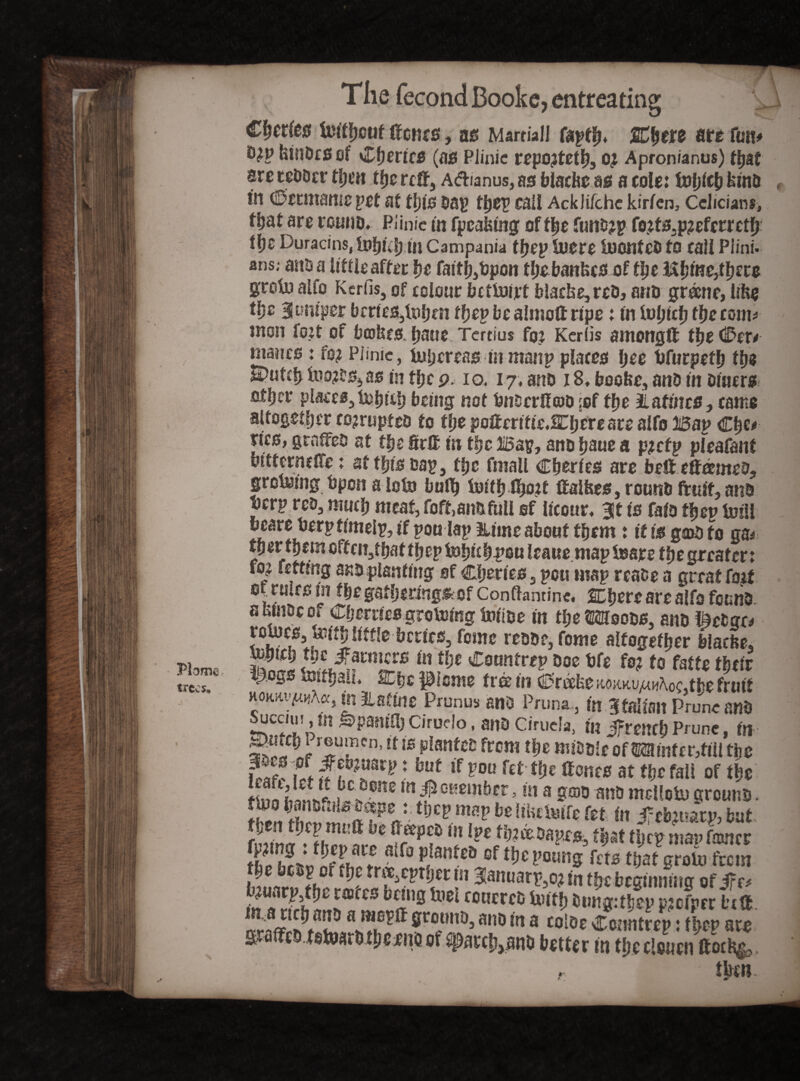 Cbeties lutffjouf frcnes, as Martial! ftytfy* %fytxz are fun* 0?P hinDcSef \Z\)etiCB (as Plinic repojtetb, 0£ Apronianus) that are teooer tl;en tfjc re®, Aftianus, as blacfee as a cole: Mjitfy kino in Cenitante pet at this oap tbep call Acklifchc kirien3 cdidans, tljat are rcuno* Plinic in fpcaking oftbe ftmo?p fo?ts3p?efcmtfj tljc Duracins, Infjiiijm Campania tbep Uiere iBOJlteD to call Plini- ans; anD a little after fje faitb,bpon tbe bankcs of tbe iXfjmejtIjere groin alfo Kerfis, of colour betiuirt b!acke,rcD, anD gmne, like tlje Jumper brries^nljtn tfjep bealmoftrtpe: in ioljtcf) fbccoim mon fo;t of bakes. fiatic Tertius foj Kcriis amongft tbeCer* manes : fo? Piimc, tuljereas in rnanp places Ijee bfurpetb tbe S>utc|i Inoras in tfjc p. 10.17, ano 18. booke, anD in Diners otljer places, lobitb being not DnserKcoo ;of tfje i attnes, came altogether co?rupteo to the poReritie.lOjere are alfo 30ap £tyct tics, grnffeo at tbe Sr® in tfjc Bap, ano bane a pjcfp pleafant bittcrncSe: at this cap, tfjc fmall Cberfes are befteffmneo, grclmng Open a Iota bulb loifb fho?t Raikes, rounb fruit, ano uerp reD, muck meat, foft, ano full of iicour* Jt is faio tijep toil! bcare berp timely, if poo lap mine about them: it is g©o to ga* tper tljem often, that ifjep fobub^ou leaue mapioare tbe greater: *y Rfrtng ano planting sf Cbertes, peu map reaoe a great fort of rules in tbe gatherings of Conflantine. 2Ebere are alfo founo akfnscof Cherries growing iiu'ioe in tl;e Moods, anD feetgr* f0iTCt?5 ^Jf‘e ^cclcs5fcmc reDDe, fome altogether blacke, mbtcb tbe Jfatmcrs in tbe Countrep Doe bfe fo? to fatte their pogs IxJitbalL SZtjc Pome tree in Creeke KojiKu/MoCithe fruit KOKRt-^Aa, rn Ratine Prunus anD Pruna 3 in jtaltan Prune and i« French Prune, in ir®V®cn* itplanteD from tbe miDDie of Minfer>tiU the f;. ^sojuarp: but if pou fet tlje Rones at tbe fall of tbe fiiinhilVi ffh <0ne m#GKembcr > i« a anD mcflolu aroutiD. tl)cvm?vbe[Uulm[efet. in Jrebjuarp,but b^Jnfthfii f° p!anted of tbe poung rets that grolo from J . fhl Z* r« ?CprfC !n 31anuarp,o^ in tbe beginning of if tt ^ • P, t)i races being toei coucrcD Untb Dung:t!jep pjcfper bxtl ^rointDj anD ln a £oiDe Ccmttrep: tbep are grafrcD.tetoarDibcrnD of ^arcl^anD better in tbe clouen frocks. then