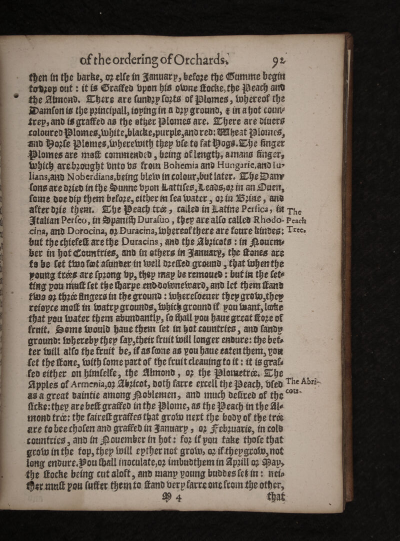 then in tbe barhe, crclfcin ^anuarp, before the <&umme begin tcr&rop out: it id ©raffed bpon bid obme Hocfie, the peach and * the JHlmond. ICbere are funUipfoztd of plomcs, babereof tfje SDamfon is t\)Z principali, toping in a drp ground, $ in ahot eoun* trep, anD is grafted as tbe ether piomes are. Sphere are Diuers colouredpiome0,iMbite,blatfee,purple,an&red: Wheat piomes, and htorfe plomeSjinbrreinttb thep bfe to fat l£togs.Cbe finger plumes are ms® commended, being of length, amans finger, tbbicb are brought ditto ds from Bohemia and Hungarians lu* lians,aito Noberdians,biing bleio in colour,but later. SCfyeWs or tons ate dried in tbe £>unne bpon &attife033Uaos>or in an Waent feme doe dip them before, either firfeaiuater, or in Brine, and affer drie tbem. SCtje peacb tres, called in ilatfne Perlica, in The Bftalian Perfeo, in {a>pam£b Durafuo, thep are alfo called Rhodo- peach cina, and Dorocina, or Duracma,tohereofthere are feme bindest Tree. hat theebiefeff arefbe Duracins, and tbejffbricots: in ^ouentD her in hot Countries, and in ethers in 3(anuatp, the Hones are to be fet tins f<ot afunoer in ioell dreffed ground, that Ijjben the poung fr&s are fprong bp, thep map be remoued: but in the fet» ting pou muff fit the fijarpe end-ootoneteard, and let them Hand tins or three fingers in the ground: toherefoeuer t|ep grohj,tbep reiepce moH tn isaf tp grounds, fobichground if pou teant. Unite tfjaf pou loafer them sbunsantlp, fo Stall pou fymt great ffore of fruit, &omo loould haul them fet in hot countries, and fandp ground: tehetebp thep fap,their fruit inill longer endure: the bet* ter toill alfo the fruit be, if as fame as pou haue eaten them, po« fet the Hone, toifh fome part of the fruit cleaning to it: it is graf* fed either on bintfelfe, the Hlmond, or the plometree. SDbe Apples of Armenia,or Jffbricof, doth farre ercell tlje peach, bfeo T^c A’or*”' as a great eainfie among Noblemen, and much defired of thecotl> ficbntbep arebeff graffed in the plome, as the peach in the 31« mond free: the faireHgraffes that groin nert the bodp of the trto are fobeecbofen and graffed in Januarp, or ifebruarie, in cold countries, and in $ouemberin hot: for if pou false tbofc that groin in the fop, thep inill epfbernef groin,or if fhepgroin,not long endure.^ou (ball inoculate,or tmbudtbem in &prill or spau> the Hoche being cut aloft, and manp poting buddesfef in: net* thir nmH pou fufferfbem fo Hand berp farre one from the other, #4 that