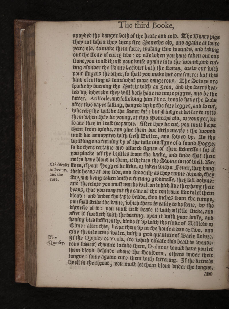 third Booke5 auopheo tfjc Danger* boih of tijc heatc ano colo. %%e Boaro pigs thep cut UJljcn thcp inero fire #onetlis olo, ano agalne at fom pave olo, to make them fatte, making tino teouncs, ano taking out the Hone of cuctp Coe: o? elfe i»hen pou fjaue taken out one ttone,pou muffthfiitt pourtmife agalne into the foofmo,s«o cut* ting afunoer tfjc fkinne bettolrt both tfje ttones, o:alu out forth Dour fingers the other, fo foail pou make bat onefearre: but this luno ofcuttlngls fomefoifjat tnoje Dangerous. Che koines are fpaioebj» burning the ^aftlr forth anBJron, ano tfje Carre hea* leo Dp, foherebp thep toill both baue no mo?c plgges, ana be tfje fatter. Ariftotle.anDfollofoinghlmPiine, fooulo hauethe&oiv after ffoo Dapes fatting, Ijangeo Dp bp the fo?e legges, ano fo cut. fohcrebplbe folilbethe fomer fat: but 31'uOge it better to cutte them fohen tyty be poung,at tfoo sponetfjs olo, o? pou»ger,fo? foare tfjep fit leatt leoparole. lifter thep be cut, pou mutt fetepe them front D?inhe, ano glue them but little meate t the foounD tnuff bee annopnteo tottfj frefi) Butter, ano fotneo Dp. 0s the innttllng ano turning Dp of the faile is a Cgne of a founO feogge, fo be there certaine ano affureo fignes of their fiefcneffe: fo? if pou piuebe off the battles from the bache, ano finoe that their _f,.r f i;®tcs bI°«0 to tbcm, it foefoes the Minine is not iueU. Be* Of d.fcafe, Coes, if pour Rogges be Cche, o? fatten forth a iFeuer thcr hanor £e,c i3®3 « »? «a*, ano ftiaocnlp as fljcp name ateoa», tto cure. ttap,ano being taken forth a turning giooinette, thep fall Dofone* ano therefore pou mutt raarfce foell on folfich fioe thep bamr their heaos, that pou map cut the care of the contrarie fioe to let them olouo: ano Dnoerthe faple befioe, tfoo inches from the rnmnr pou m ttcibe the Daine, fohlch there is eafifo tMme'lTthi btgneffe of if: pou mutt firtt beate if forth a little tticbe anu after it ftocHcth forth the beating, open it forth pour hnlfe ano &.» tj* « *P m tie r£SC Clme. aft er this, keeps them Dp in the houfe a oap 01 tfoo ann _ £!nlfltn ,toatfc> quantise of Sarlrflotoc <Ss,nfe.r- tous fntaot) tftaratceUfoMMtoi^Dydimu **? *'£?<B tamBc' fljcm Mono beiimt airoueth^CT.«f Sf*1pmlrt tongue: fomcagafne rate tljcmtoitii fetferfnn flBC“,n t!,c > *» Wnwm Mono LJZ toTguo,