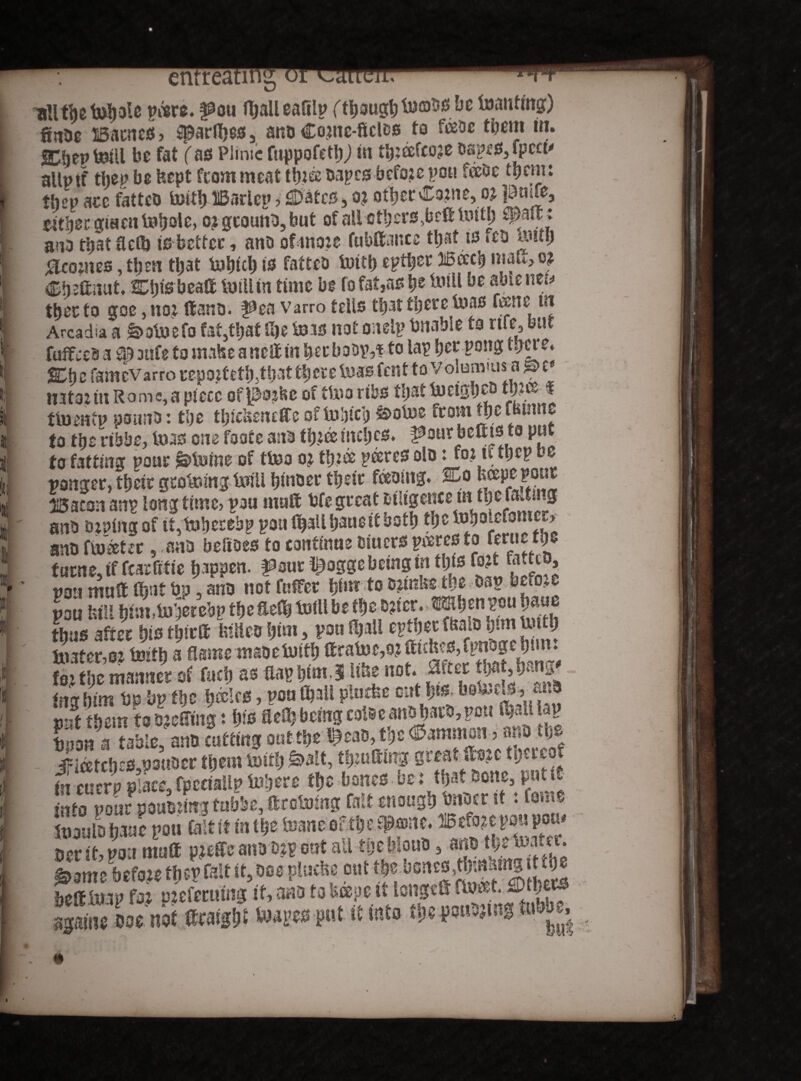 nUttjetjrtjolc pare. ^ou J^allcafitp (though^®555be feantmg) fintie Barnes, sparfljes, ano Co.me-ficles to them in. SCljer Ml be fat (as Plimc fuppofetbj in tfrafcoje Dopes, fpccu atlptf flap be feept from meat ttjjec capes before pou face tgem: tlicp arc fattco totb Bsrlep ? jSDatcs, a? other Come, oj Itfrue, either gmeufrboie, °? gcouno, but ofalictbcrs>brfltotb -#aft * a?i3 tijat fleib is better, ano ofmoze fubftancc that is fee totb j&comes, then that frbicb is fattco frttb cpt^er litocb niaU, o? Cbeftitut, Cijis beatt frillin time be to fat,as be frill be able net* thee to goe ,noz llano, ^ea varro tells tljat there fras fame tn Arcadia a &ofrefo fatttbat (be (bis not onetp brtable to rife, bat - „ . „ .. ,_...i.„«*ianh^rnnnarthere. S^hcfamcVarrorepottetbttbattbcrevmbicm iu -r* natouixRame,apiece ofpoibcof tfroribs tljatiBeigbcD tbto « ttoentp poaiio: tbe tbicUeneffe of frbicb &ofre frommefBinne to tljeribbe, teas one foate ano tfra inches. f^our bettis to put to fatting pour i&frfne of ttoo oz tfra pares olo: to fa top De ganger, ttjeic growing toll bmoer tbeir facing. Co tope font Baconanp longtime, pan mail bfegreatoilipnee m tbefaifang ano Dzpittg of it,frberebp poa fijaUbaueit both to frboafomecr ano floater ,ano beftoes to continue ciuers pares to fanie tbe farne, tf fear fitie happen, ffrur l£ogge being m to* tot ««to, non mutt Cbut bp ano not fatter blm to ozuto to cap beam pou bill blm,to'Jerebp tbefielb toll be to b?icr. ^enpou baue thus after bis tbirtt tulieo bim, pou (ball eptberf&alobtmtotb mater,st frith a flame maoe frith ttratoe,0?fti£b^,fimoge btm. to to manner of fucb as flap tym J Ube not. after tWW im him tip tip to bales, pou (ball pUiefee out to befr^s ^anb Pitt them to cutting: bis flett* being coise anobaro,pott tojUlap toon a table, ano cutting out tbe teao, tbe ©aramon 3 ano to iiattosfrouocr tbem:toitb SmK, tou fling great fis?e fymoi in cuerp place, fpctiaUp febere tbe bones be : that bone, put fa in^o pour pououng fubbe, ftrctomg fait enough baser if. tonie fraulobaae pou (a! tit ini be toaneef to$*nc. JJ? tier it, poa matt pzeffe ano D?poat all toblouo, ano tbe totter. frmzhtm to? felt it, m pluto out tbe benes^aamg .ttoc againe Doe nit ficaigbt fewges put it into t\)t poising tubb„