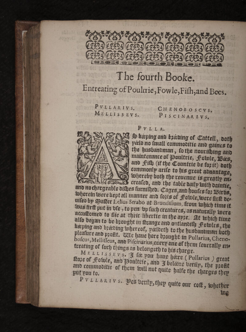 ft jnffi wm m «pm 3 1:1 f[jjj j The fourth Booke. Entreating of Poultrie,Fowle,Fifli,and Bees. P V' L L A K I V S. M E L LI S S £ V J, - * ** v , . CH ENOJ3 O SCVS» Piscinas, i v s. P v L L.A, s &> taping ana t?aomg of Caffeii, Doth poelo no fmaU commoDittc ano games to tye ljushanoman, fotfje noutti&mg ano maintenance of poultrie, jf ofole an* m (tfffje Cotmfrie be ft? ft) both commons? artfe to S)ts great aonanfage, toSjcrch? botSj tfje teuemie is greats? en> ahh cr5a‘£6t> ano tfjc tabic Datlp toith oaintie SteSfaS**? *52?** fum^ett’ «^«yn® bouCce tot Bins’ S^ZltfrU cTw an# !o>teo( JFotolc,tocKfitaot« tos artt put („ bfo, to ,m bp fud, creatures, aw C aauflemeo to fife at time ttttrtic m «e awe it25? bofcusMelliffcu, flHhPrrr -yw* «1 FuIJanus,Chcno* rt Kfis- “»* rut sou to 6 tolU nct P>l,,le Mft t»c cljargts t»* fTUU,,s-*,s hyM quite our coif, tofmber 1»$ . .