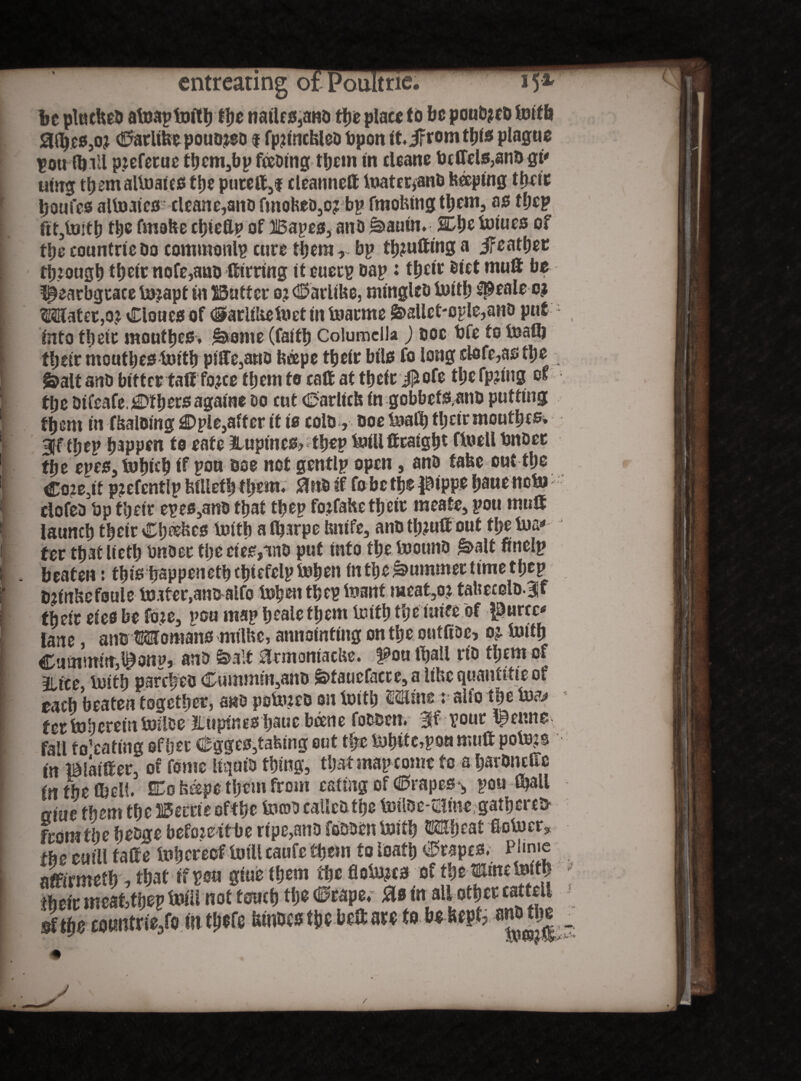 be plucbeb atuaplniththe natles,an& the plate to be poutyeb foifb )3(bes,oj ©arlifcepouoteo $ fpitncfcleo bpon it jftomthis plague pou (bill pieferuc tt»em,bp fceDing them in cleane bcCfels3anb gt' utitg themaltuaics ttje pure®,! cleanne® lwater>an& beeping time boufes altoaicscleane,ano fmofceDjO? bp fmotung them, as thep fit,toith the fmahe ctjteflp of 15 a pcs, anD 3auui.2£be tuiues of the countriebo commonlp cute therar bp tl)?uftmg a jfeathec though tljclr nofe,aao (fitting it euetp Dap: tljctt Diet mu® be f§earbgtace tojapt in Batter o? ©arlibe, mtngleb tuith #eale o? ^SHatct,o.j Clones of ©ariiiietnet in tuarme S&allet'Ople,ano put into tlicit mouses, isiome (faith Columella ) doc bfe to iualb tlieir meuthestuith piH^atto feeepe their btls fo long defers tl;e fealt anD bitterta® fo?ce them to calf at their J£ofe tbefpnug of the Difeafc.others againe do cut ©arltcfe in gobbcfsmiD putting them in fbaloing £>ple,after it is colo, Doe Suafh their mouses, gff ehep happen to eate (Luptncs>thep tutU ttcaight ftoell bnoec the epee, tohieb if pou Doe not gentlp open, ana take out the Co?e5tt p?efentlp hilleth them, 0nD if fobe the $ippe hauenebi clofea bp their epes,anD that thep fojfahe their meate, pou mu® launch their Ch^es truth a fljirpe hnife, anu tl)?u® out the tua* ter ttjatlicth bnoer the ciee,nnD put into the toounD £>alt finelp beaten: this hsppencthchiefclpSuhen in the Rummer time thep Djinhefsule tuater.anD a'tfo Iss^eti thep (want meat5o? tatsecelo.lf their efes be fore, pou map healefhem truth theiuiee of l^urcc* lane, ana Womans mtlfcc, annotating on the outfiDe, o?. tuith Cuminitr^onp, anD fealt armoniacUe. 9ou (hall rio them of ilite, tuith parcheo Cummta,anD fetaucfacce, a lihe quantitie of each beaten together, ano potrueo on tuith Mine t alio the tu&> fertuhcreintuilce ILupines haucbcene foDCtn. pour l^enne fall to'eating of her ©gges,taking cut the tuh®c,paa mu® potujs in imaiffer, of feme liqtrio thing, that map come to a haronefix (it the (bell. PTo fcspc them from eating of ©rapes %, pou (boll am them the Berne ofthe town calico the tmloe-2itaegathere& from the heDge befomtbe npe,ano Wen tuith ®heat fiotuer, fhe eui'll taffe thereof tuillcaufe them to loath ©rapes. Phnie amrrneth ,tbat if pou giuefhem tbeflotujcs of the mine tuith their meattfjep tpfllnot touch the ©rape, 0s in all othercatt^ me «wittrie/o ill t&sfc ItttWwWbeaaM to b* 6ept3