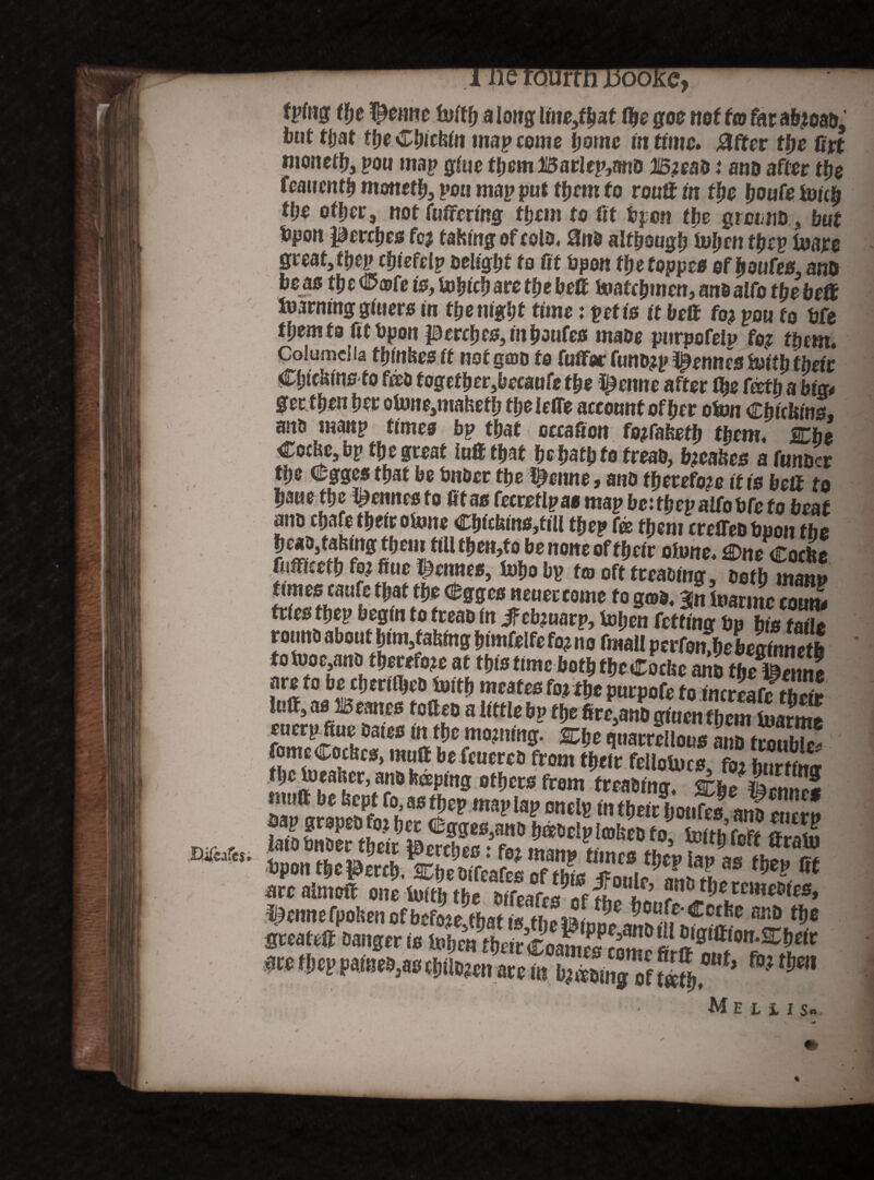 ( Bifeafej. r __ooL_, tlje ^ennc Mtf) a long linebat the goo not fa far atyoaft' tut tfjat the Wichin map come home intime» 0fter tlje firt monc% you may gim them BarJcp,ano 16m& i tmo after the fcaumtf) monetb, yon may put tfjem to rouff in the houfe ioich fye other, not fuffering them to fit bpon the gtcvno, but fcpoit perches fcj taking of colo, 0nb although toljen they to are great, they chiefely bellgbt to fit bpon tfyetoppco offyoufes, ano bo as fl? t <ffi>®fe is, tohtcb are the belt toatchmen, ana alfo ttjebett toarning gitiers in the night time: yetis it bed fo? you to bfe tljemto fitbpon p)crcbcs,mhoufes rnabe purpofelp fo? them. Columella thfnfies it not gcoo to fuffor funb?p Rennes toitb their £ljickinsto too together,becaufe the feline after ffje totfi a big* get then bet obHte,mahetb the ieffe account of bet oiun (LhicUins, mo mmy tunes by that cccaficn fejfafeefb tbem. 2the Cocae, bp tfje great luff that f?c hath to treab, brakes a funder tpe wgges that be tuiOcr the tymne, ano therefore it is bed to Ijaue tlje t^emtes fo fit as (emtlyao may be: they alfo bfe to beat ano ebafe tbetr ofone Cbubms,tiU they to them crcffebbpon the be none off heir olone. £Dne Cocfte fiidiseth fozftue pames, Xnbobp f© ofttceatnng, both manp times caufe that f|je CBggcs neuercome to gwo. %n Marine count trfes ftjep begin to feeao In if eb?uarp, tol;en fetfmg bp his taile rouno about bimtablng blmfelfefo?no fimall perfo n%beg(nnetb fob)oc,ano therefore at this time both tbc&ocke ano the l^enne arefo bedjmlljeO iuttb m cafes fojtljc puepofe fofnereafe their luff, as1115canes toff eo a little by f be fire,ano gluen tbent luarnte euerp^ftue bales In fbe moaning. %he quarrellous ano trouble* fomeCocbcs, muff be feuereb from tbcir fellolues foiStmr to, toltb toff ffraUt teraiefpoHm of bcrieVt2m t>>e mated banger is Inbm tbeir Coamelrnm° « j^^ton-SCbeto me mp paiueo.aotirtiosfi,«« m bm„10[ te|,‘’ f°'tim M E L i I S«