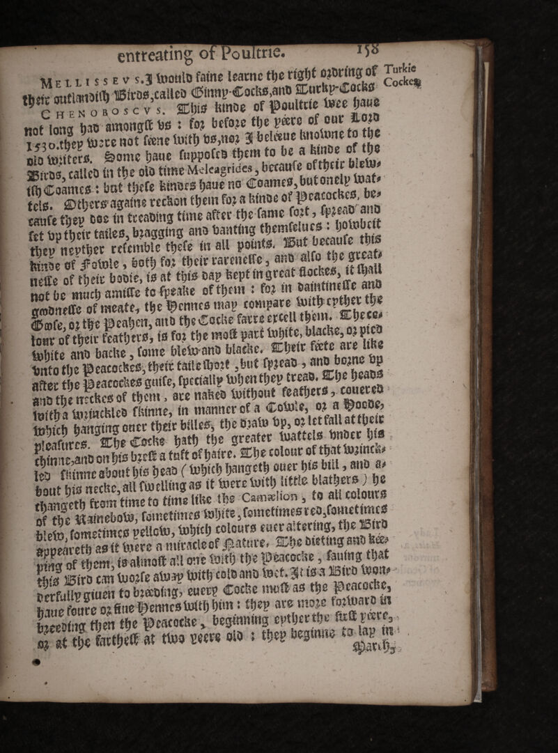entreating ot LJoultne luiF t l i $ s e v s.3Jtaoalofame leatnctberight Diurmgof Turhe th«- autlanoi't) HSiroes,calico d?mnyCochs,anD SCutbp-Coelm ^cffoBoTcv’s. » Umoe of faults t»eel;a«0 i^o t?cpiy:cenot®fcenetuitb UW 31 bd««e tmoUmefo m oio uiitfero. Anebam: ruppofesf^mtobea^ 3Rn-as calico ill the oio time Meleagnaes, because t>wm mw* tOjCoames: bat ttfefe feinocs baue no ^ caufc tire? 002 in treating time after tbe fame Ut U?mvt tatleSj bzagging ana banting tyafcu'W>M* M*te of/otoie, both fo? ttjcir rarcuelfe, ana aifoW 8**^ to fpeahe of them : fo? m “S !L ^ iBeaben ftttO theCcclvefatreercelltbem» SEbece* bur of t&efc fathers* is fo? tije mod part fo&fte, ^c, o? Pjco ano bathe, tome Mctoano biaefte. Etjete fete“® ■** tmfo the ©eaeocheojtljeit taite Bunt -but fpttaa > ano bojne hp aftet the f eaeeehes suite, ipcnall? totjen m»**■ f tWtSUleo fhinne, in manner ot a Cotole, or a fiocDe, Seafurcs. ®be Cothe bJtt> H>e : ?Sr imo on his inett a tuft of Ijairc. Sitje colour of tbat tujtnt«< leo Wimtc about bis beaa (*>m bangctb ouev l»5 bul , aiiO s> oftbclt aTn eboV», f^.reti.t .r0 Voijite, fcmc times r eO^oH.et tntc3 Sirlkmetimco velloba, U)b«b colours euer altering, tbe JB«b kpearetb as it Uvere a miracle of attire* SDbe of them tsalmoft all one toitl) tije iptaeocae, failing tba j$i* Biro can teo?fe atosp Uvitb cels ano ‘ . S> Perfullpgiuen to b?«oing, euetp Coc»e mu® as M , j hw foure 0?finefeenmstoitbbim: the? avemo?e to?toaio di bieeoing tfien tbe l^cacoclae ^ beginning cptbertbe J T&l£M tu» W« ^ t tbe? begmn, mW • \