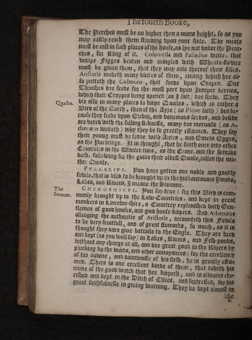 erourtfi 1300. Quailcs The Swannc. SCfje perches mutt be no higher tfjen a manes height* fo as pots map eafilp react) them Handing bpon pour f&fe. Ehe meate mutt be eatttn fuel) places ofthc boufe,as Ipe not bnber the JlDear# CtjCSj fo? filing of If. Columella atlD Pal/adius finite? ftjaf bnrtpe jftggce beaten and mingled totfy mtjiate-ftetote mutt be giuenfhem, that ffjrp map rate thereof fbeir fifics. Ariuotlc mafceth manp timers of them, among tuhich %tt aU fo puffeth the Colmons , that feeoe bpon (Drapes. £)ur Eh?ufl)cs Doc feeDe fo? the- rnott part bp on juniper berries, tohuh their Croppes being opened (as J fata; ooe %iu. 2Chep a«. 15fe a!fo <** Places to heepe Quaties , tu|jjclj is rather a »D of the earth > then of the £p?e (as Plimc faith; but be# caufefhep feeDe bpon Elebo?, and benemous fecoes, and befifie are bered toith the falling fiibncffe, manp bee meruaile (as a- tnerjeus to? iterh) bil;p tfjcp be fo greatlp cttcemed. <Oep fap their poung mutt be febac forth Me# , an& Emets Ecrcrcs 3 ^at l)c oner (nt0 other Centres in the ®inter nme, as the Crane, and the ^foifee tyeiQwle01* f0? pl0ct^r olOett®uaUescaUedthe mo# fofn»J«.i?aVr ft V ? ^ou &ott™ °ne noble and goodlp £tSif°Si'n?c °f«> Ar,ftotlc * ««ounteth this Jfofols luif!,ouf an» chame if jn »!f“ ’Kluas > »«» «-poll»®, plucking butteZJ1» 2S? C ffCra( s°oa l!1 Kf#ew bp «f-W* fotee, anaf°!t!lEtKe!,cm® me. £|n> is Dnc crccicntteiaiJS' 6e« Bwatipt#» name of t&c gsoo Ui.u/h fi!w r,!i h f ?tm > ‘&*t *»Ml M® rifles ana kept in theSntib ’ m,° te altoaics ehe* mat &&& wJ&££Ph£Z *»?*** «»«* xwngmmms. Ehep be kept almoft in fA like