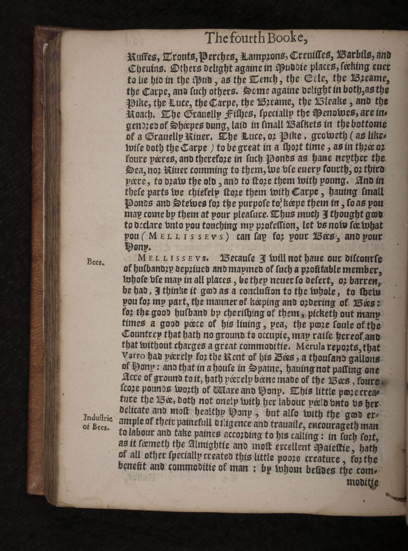 Bees., In du (trie of Bees. Kuffes, Croufs, perches, Hamptons? Crctiiffes, Barbils, ano Conans. iDtljers Delight againein ^puODte places, faking euer to he Ijto in the CpuD, as the Cemh, the Ccle, thr B?eame, the Carpe, ano fuel) others. &cme againe Delight inboth,asthe pike, the llucc, the Carpe, the B?eame, the Bieake , ano ttje Koaclj. Che Crauellp jftfljcs, fpeciallp the #enoi»es, are in* gen3?eoof Shapes Dung, lath hi fmall Baffcets in tlie bottoms of a CrauellpKiuer, Che Iluce, 02 pike, gcotoetp (as like* hufe Doth the Carpe) to be great in a fljort ffwie, as in thr® 0? foure pares, ano therefore in fuch ponos as fyane nepther the &ea, no? Kiuer camming to them, toe bfe euerp fourth, 0? thiro peeve, to o?ato the olo , ano to fto?e them toith poung. 0no in fhefe parts toe ctjiefelp fio?e them tmth Carpe, hauing fmall pones ano &fetoes fo? the purpofefo’hoepe them in, fo as pou map come bp them at pour pleafure. Chus much 31 thought goto to Declare Onto pou touching mp profeffion, let bsnoto fatohat pou ( M e l l i s s e vs) can fap fo? pour B®sj, ano pour ?£onp. Mellissevs. Becaufe 31 tofllnothaueourDifcourfe of hufbano?p aepn'uco ano maprneo of fuch a profitable member, tobofebfe map in all places, bethep neuerfo Defert, 0? barren,, be hao, 31 tljtnUe it gcoo as a conclusion to the tohole, to the!» pou fo? mp part, the manner of beeping ano o?0ering of Bees: fo? thegoob hufbano bp cherifipngof them, picked)out manp times a gooo pace of his luting, pea, the pco?e foaleoftpe Countrcp that hath no grouno to occupie, map raife hereofano thatSoithouf charges a great commooitie. Merula reports, that Varro hao parelp fo? the Kent of his B®s, a thoufano gallons ofi^onp: ana that in a houfe in £>patne, hauing not pairing one £cve of grouno to it, hath parelp bane matte of the Bees, foure« fco?e pounds toortp of mate ano f onp. Chis little p©?ecrea* fore the Ba, both not onelptoifh her labour peelotmto bs her Delicate ana moft healthp ^onp, but alfo toith the gm ex* ample of their painefull Diligence ano frauatle, encourageth man to labour ano take paines accoroing to his calling: in fuch fort, as it fameth the aimightie ano moft ercellent ^aieffie, hath of all other fpeciallp createo this tittle poors creature, fo? the benefit ano commoOitie of man « bp inborn befioes the com* mooi^f t